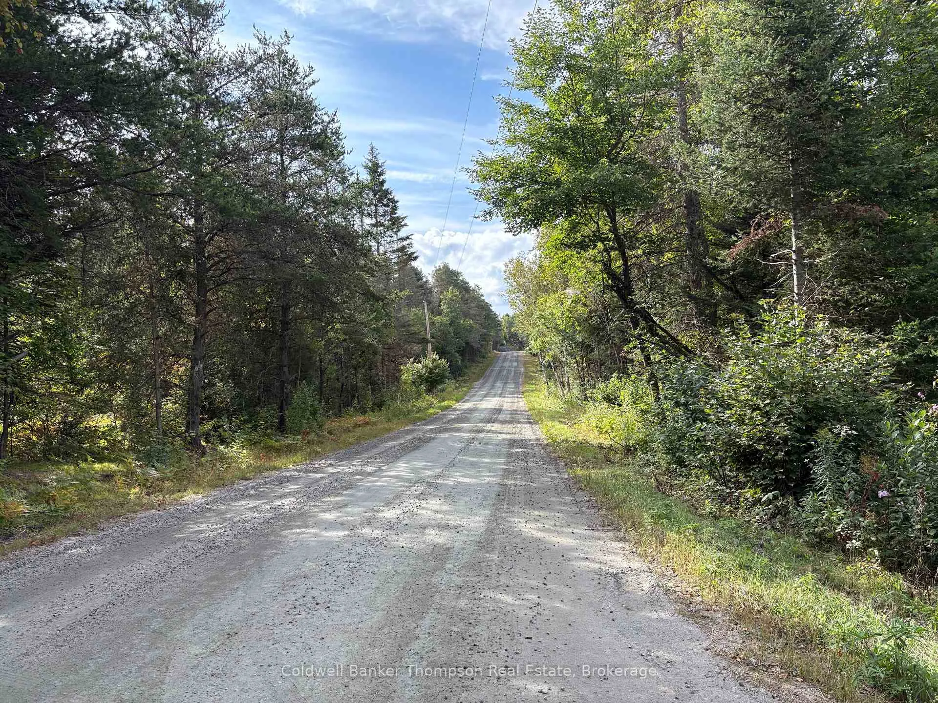Photo 18 of 168 White Pine Drive, Machar — HOMEH