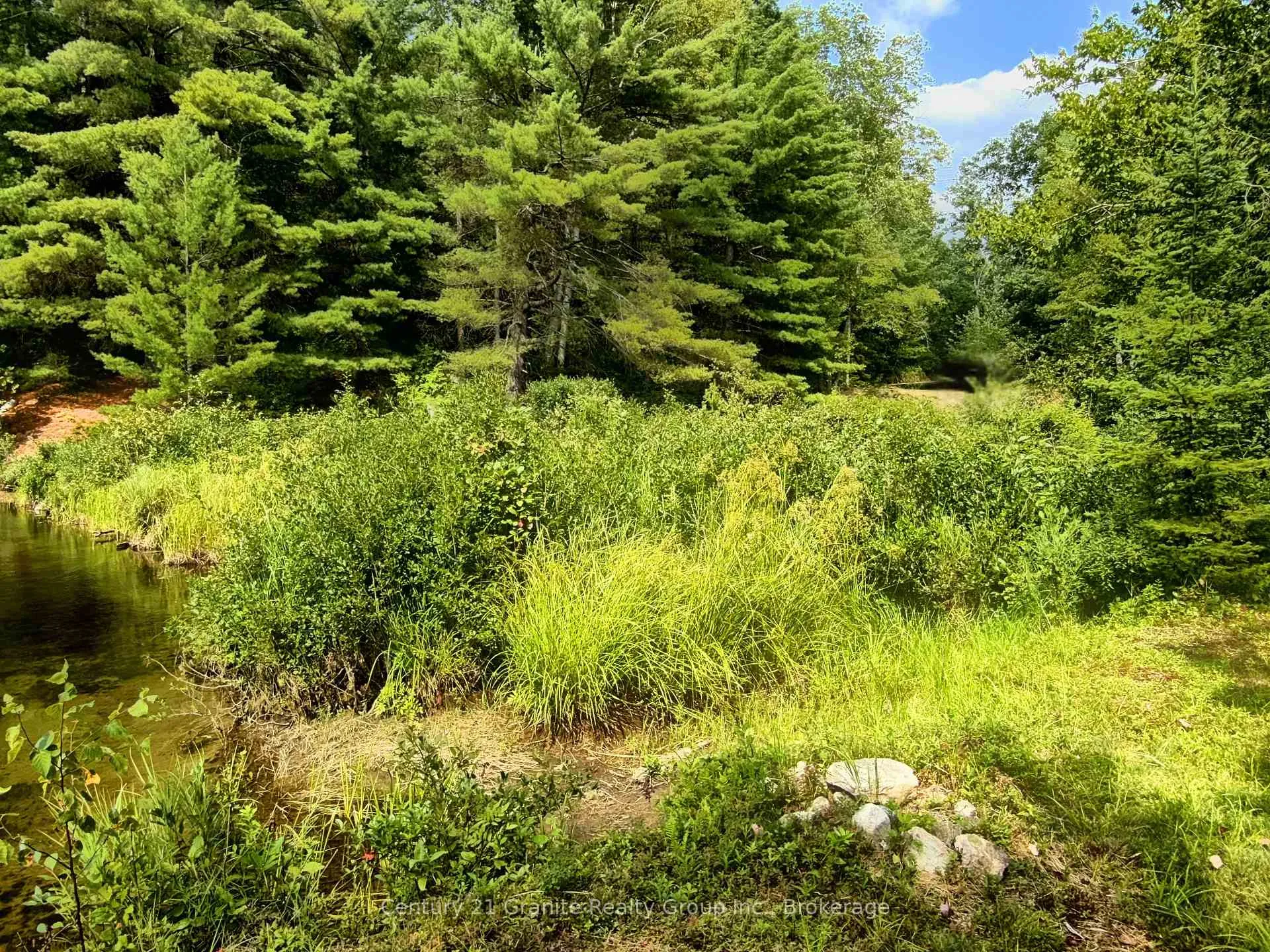 Photo 5 of Pt 20 Braeloch Road, Algonquin Highlands, Stanhope — HOMEH