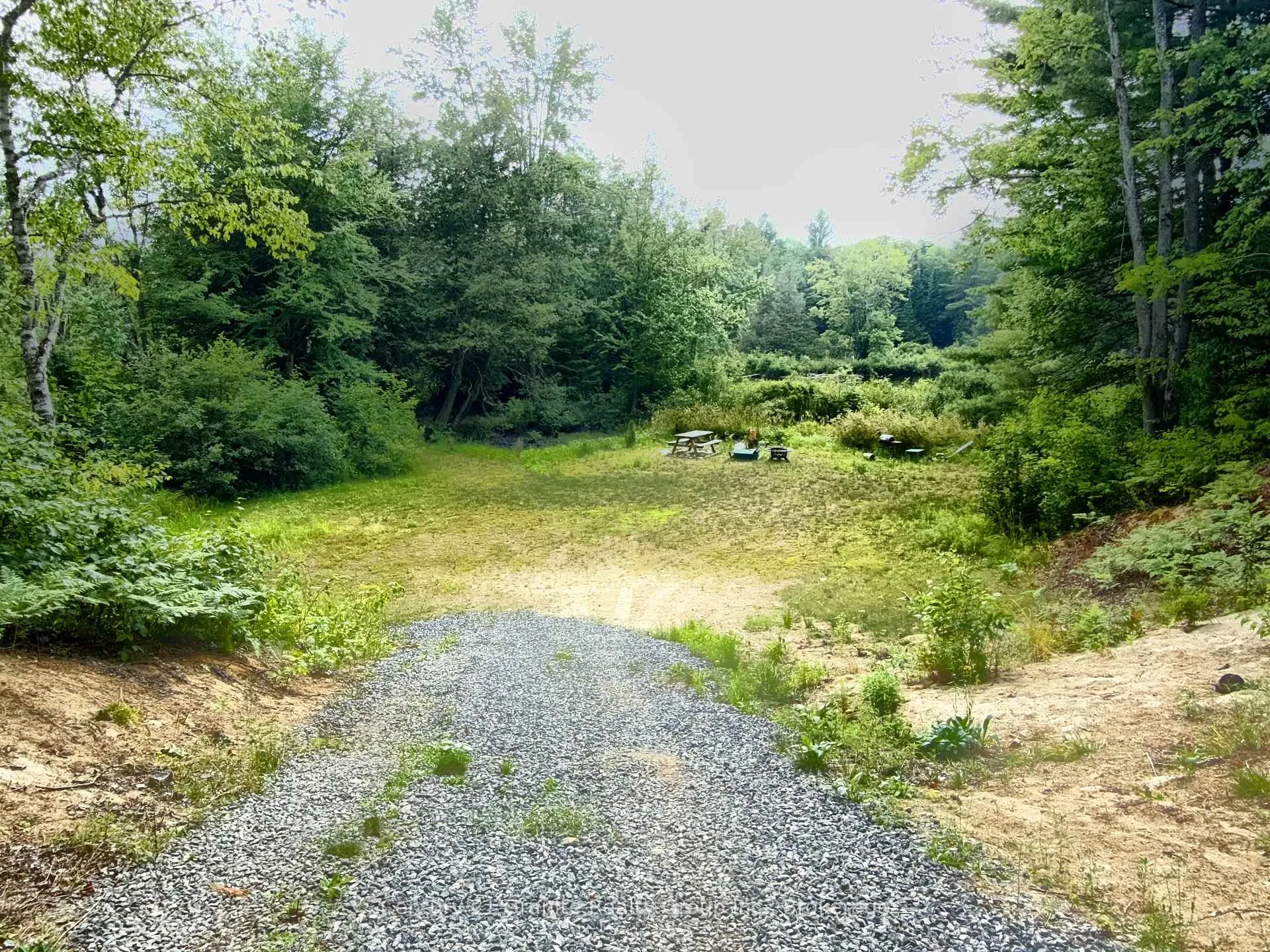 Photo 25 of Pt 20 Braeloch Road, Algonquin Highlands, Stanhope — HOMEH