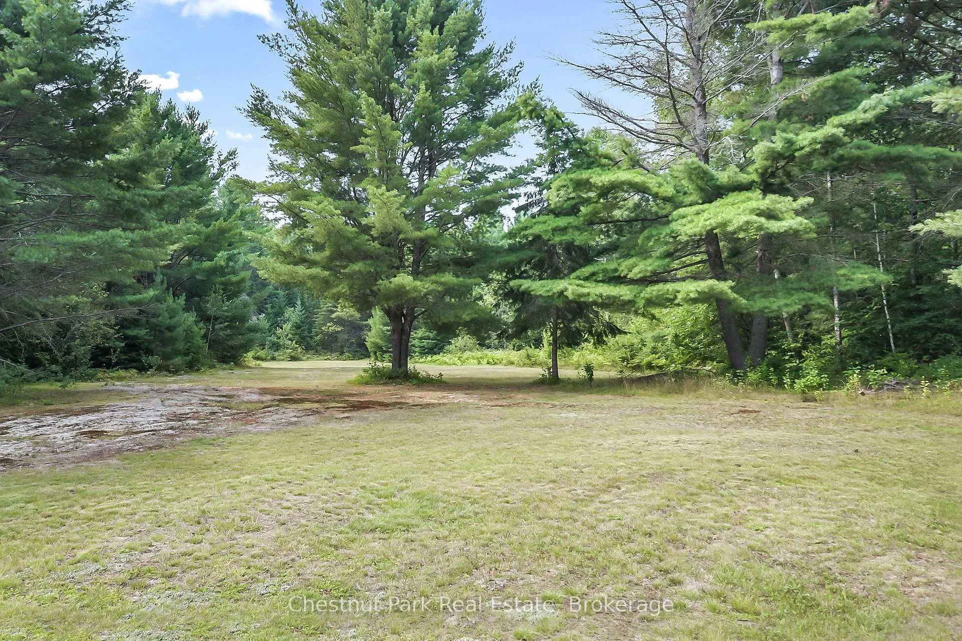 Photo 17 of 65 Bay Lake Road, Perry, Emsdale — HOMEH