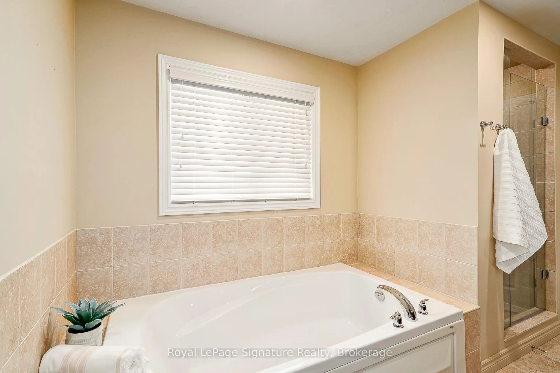 Photo 25 of 31 Brooke Avenue, Collingwood — HOMEH