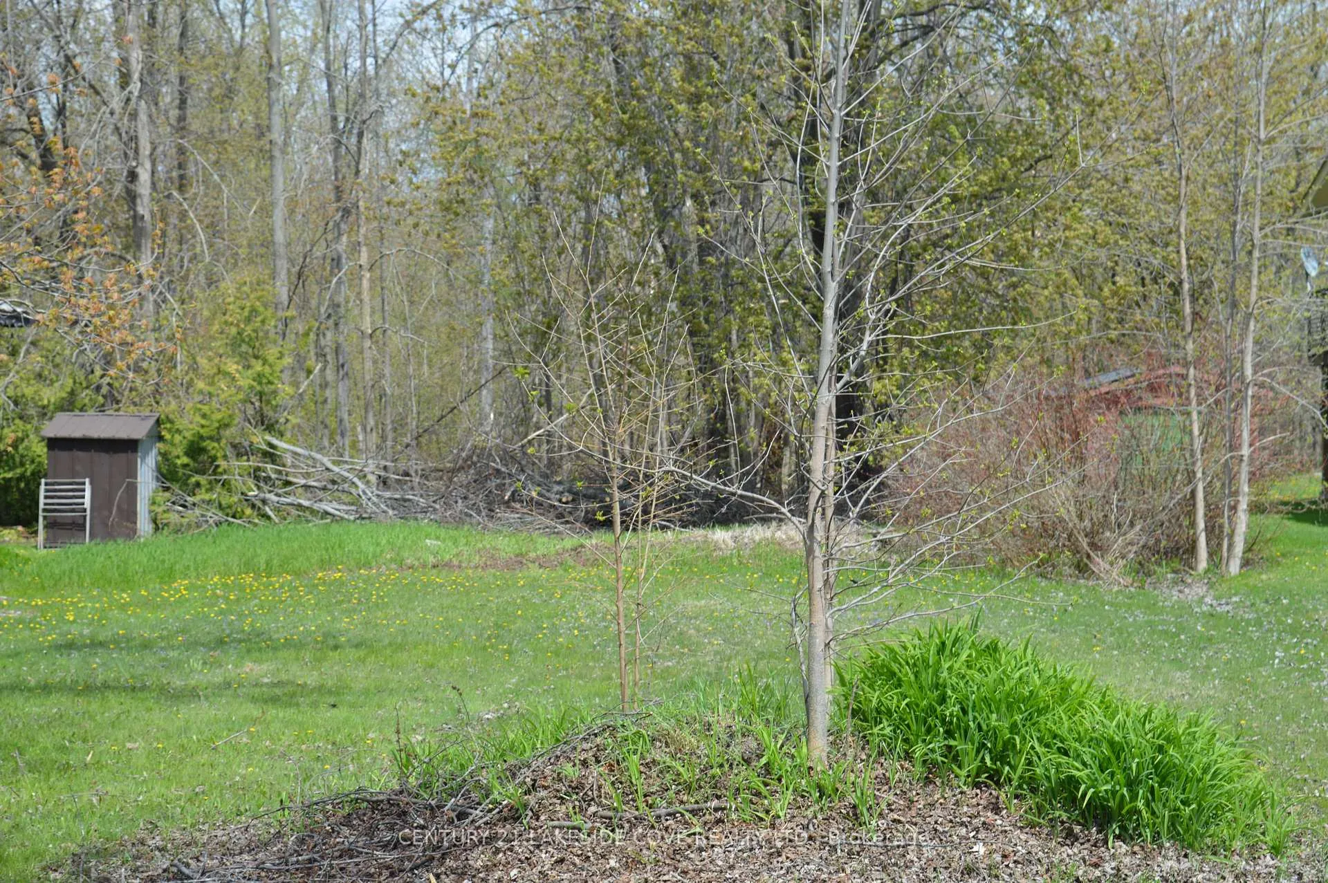 Photo 4 of 2689 Lakeshore Drive, Ramara, Brechin — HOMEH