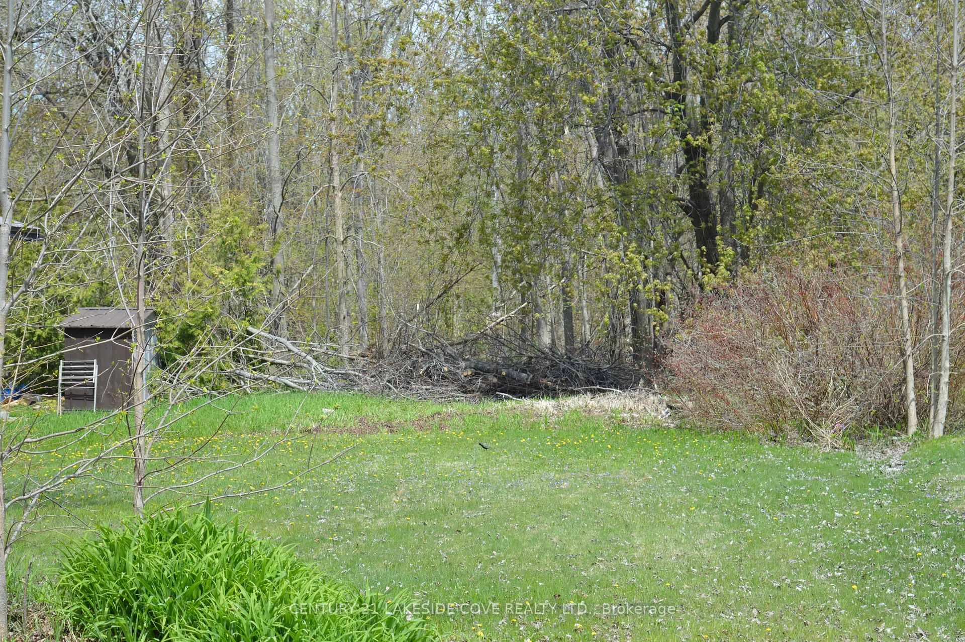 Photo 5 of 2689 Lakeshore Drive, Ramara, Brechin — HOMEH