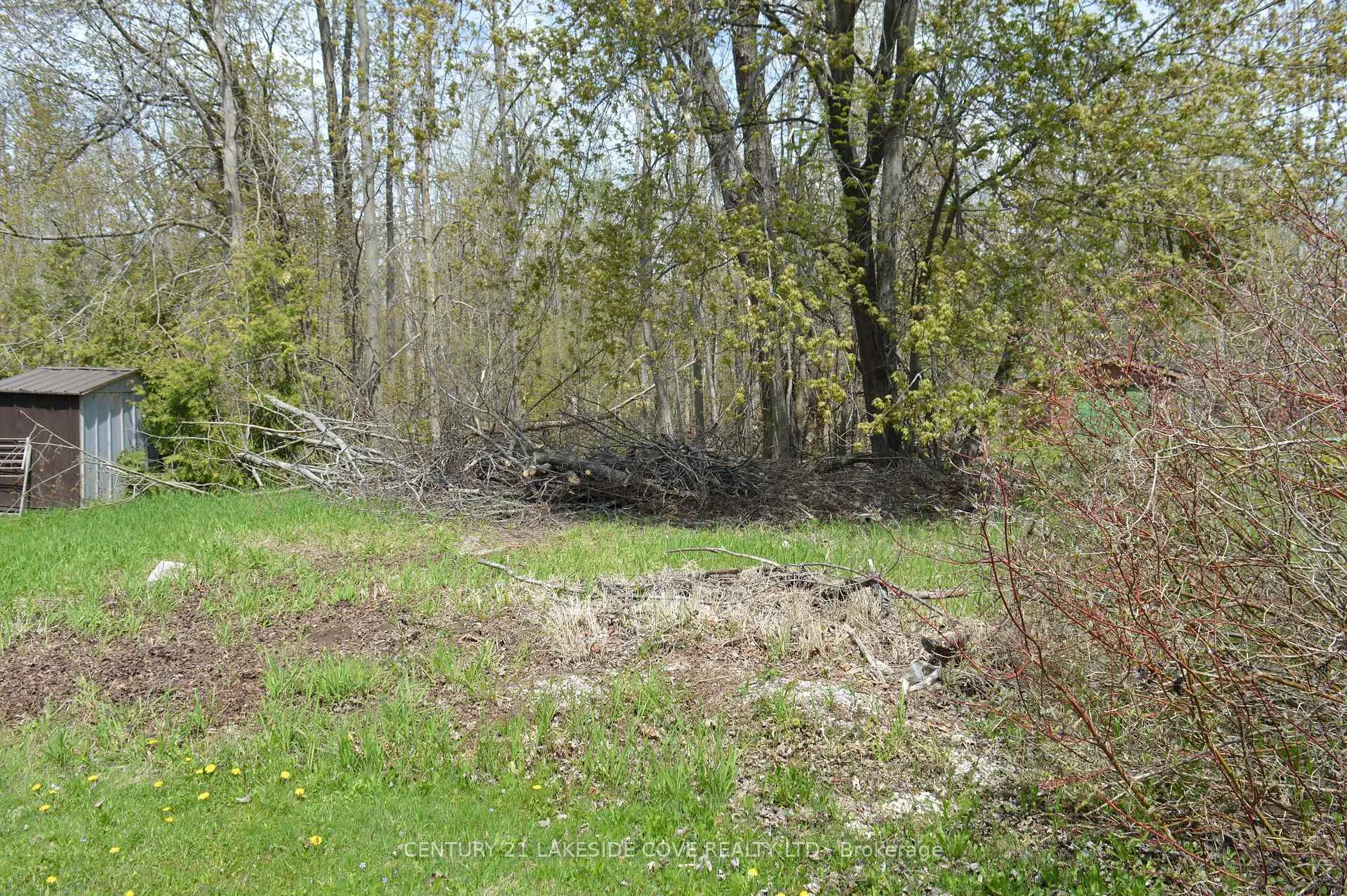 Photo 6 of 2689 Lakeshore Drive, Ramara, Brechin — HOMEH