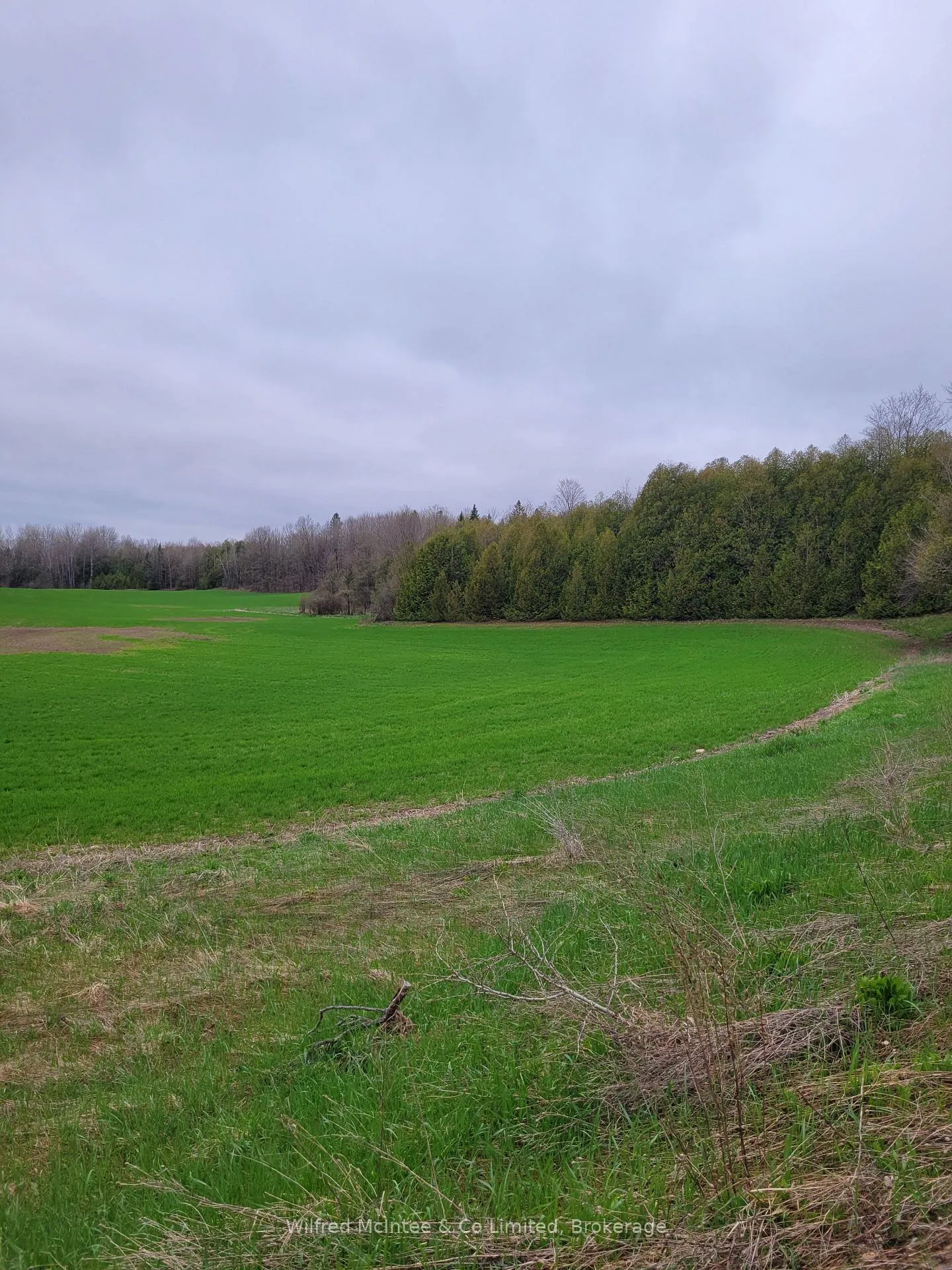 Photo 8 of 383470 & 383504 Concession 4, West Grey — HOMEH
