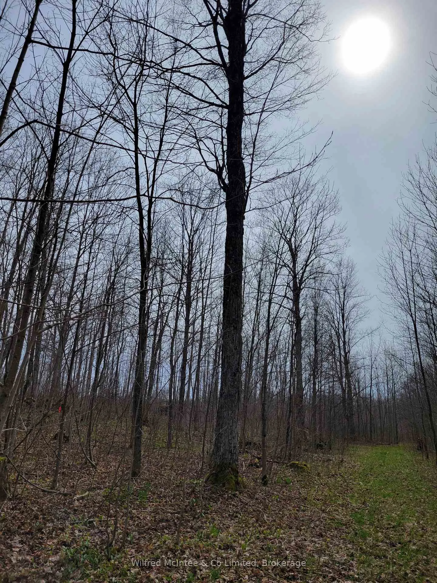 Photo 11 of 383470 & 383504 Concession 4, West Grey — HOMEH