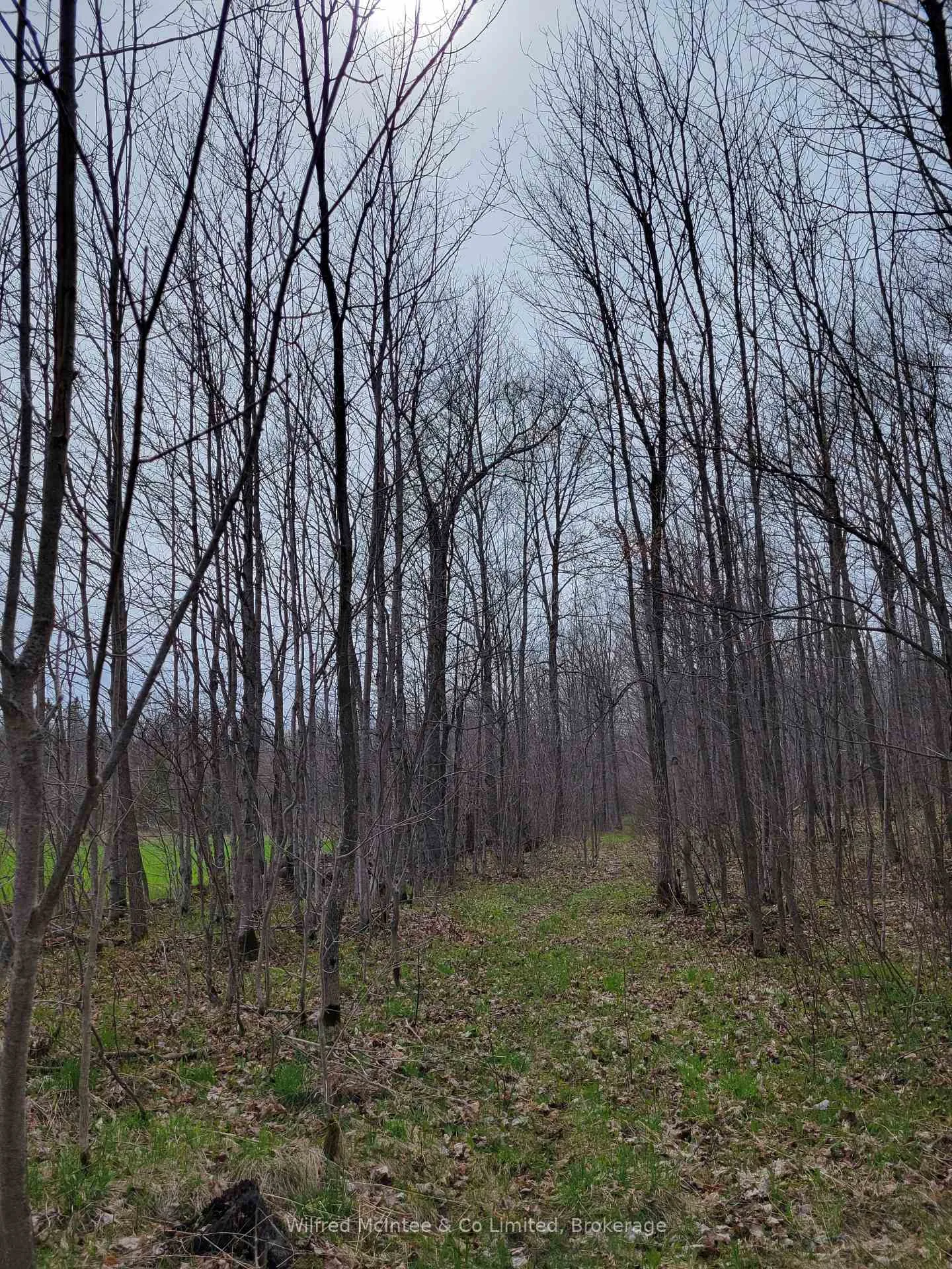 Photo 13 of 383470 & 383504 Concession 4, West Grey — HOMEH