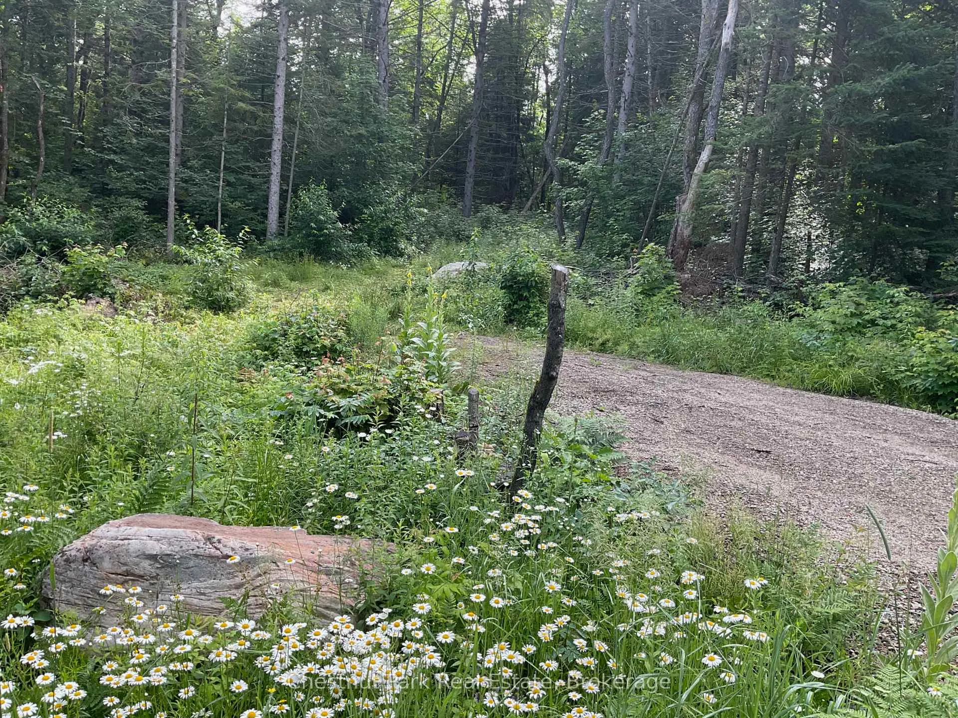 Photo 12 of Part 1 Whitney Road, Perry — HOMEH
