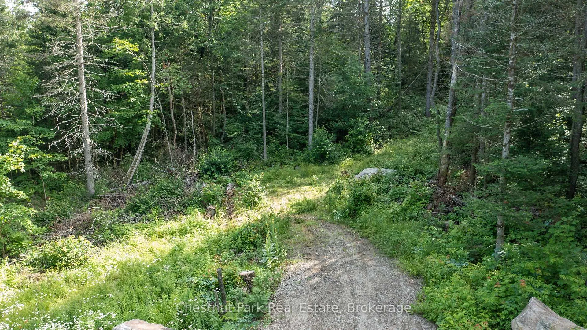 Photo 14 of Part 1 Whitney Road, Perry — HOMEH