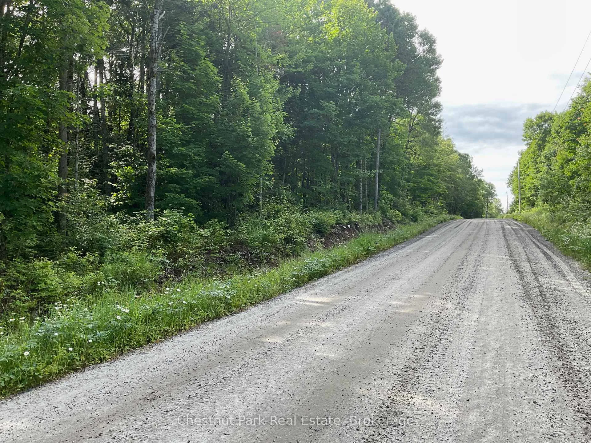 Photo 17 of Part 1 Whitney Road, Perry — HOMEH
