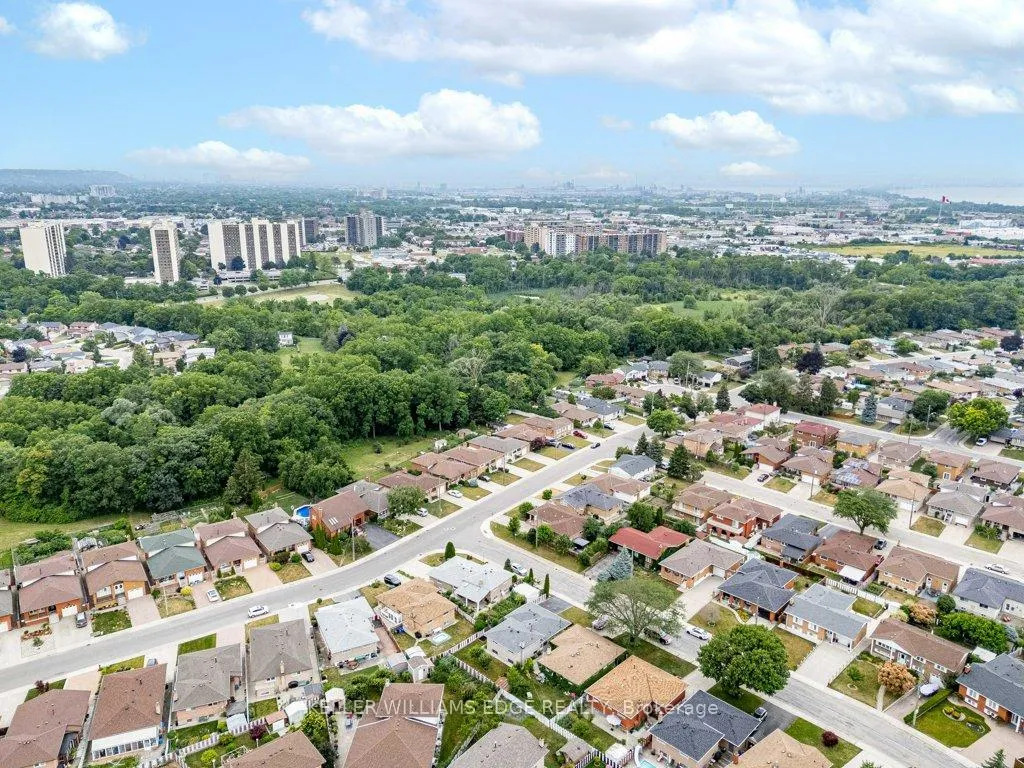 Photo 42 of 16 Evelyn Street, Hamilton, Riverdale — HOMEH