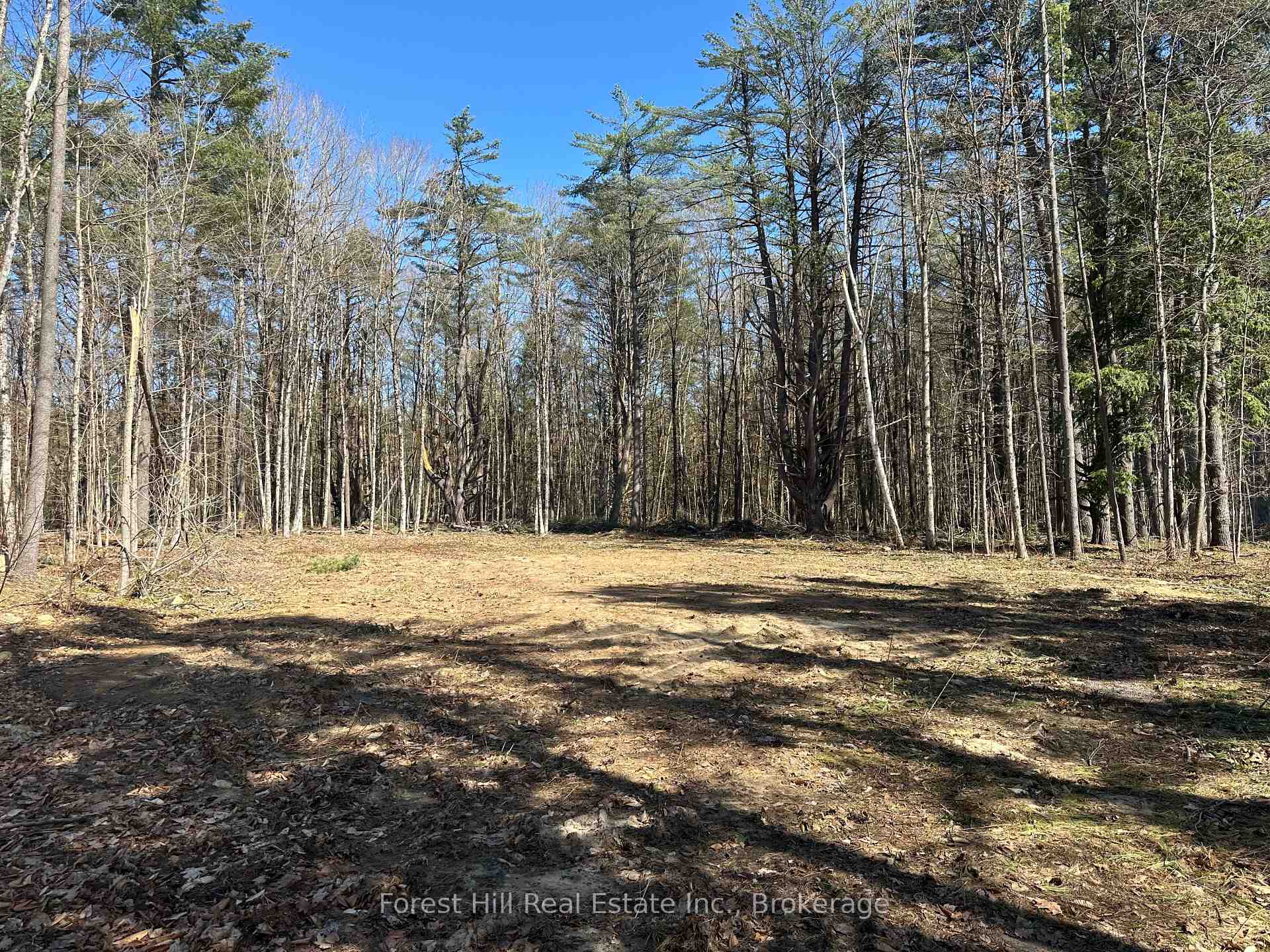 Photo 2 of 1111 Xavier Street, Gravenhurst, Morrison — HOMEH