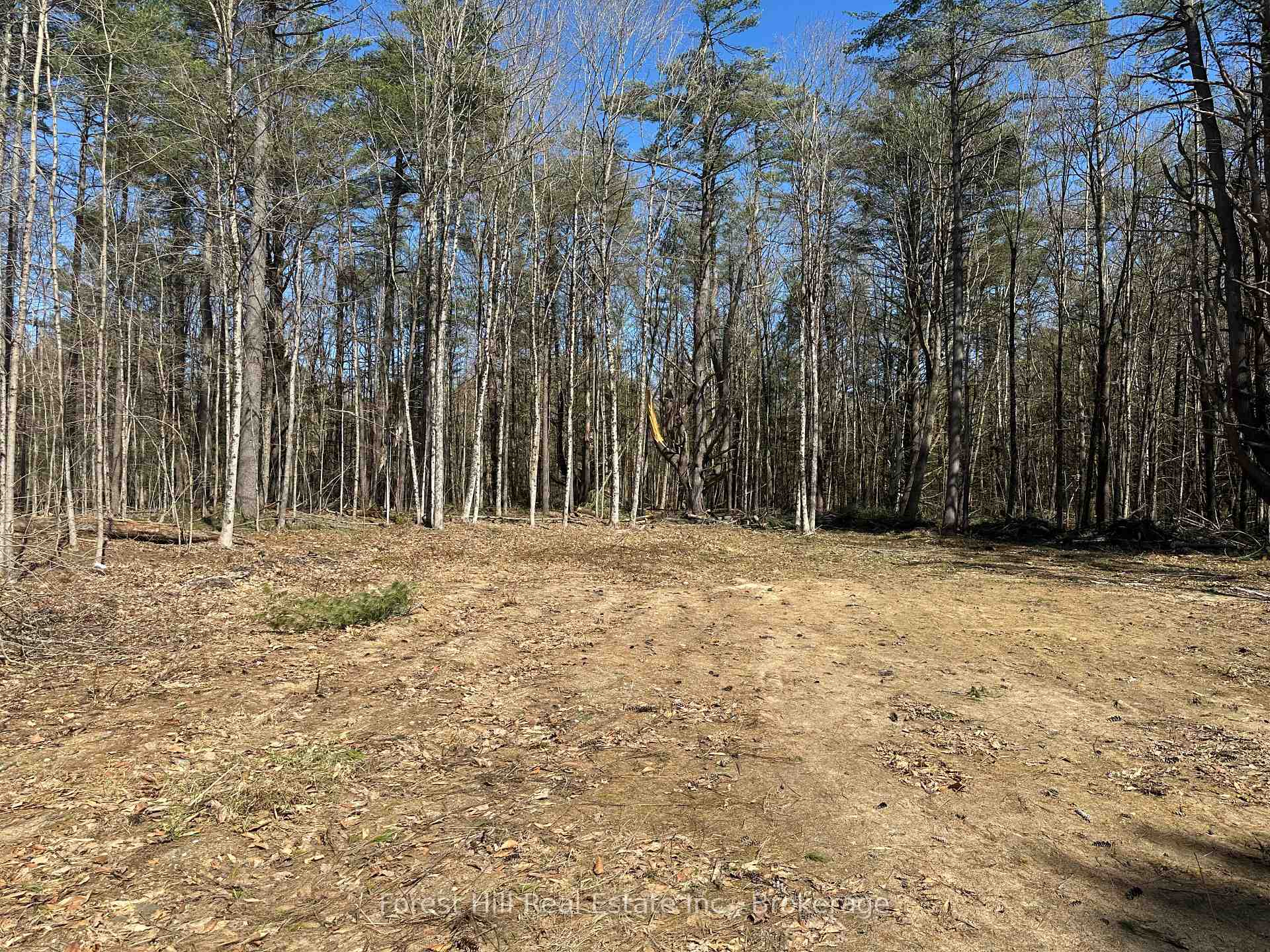 Photo 3 of 1111 Xavier Street, Gravenhurst, Morrison — HOMEH