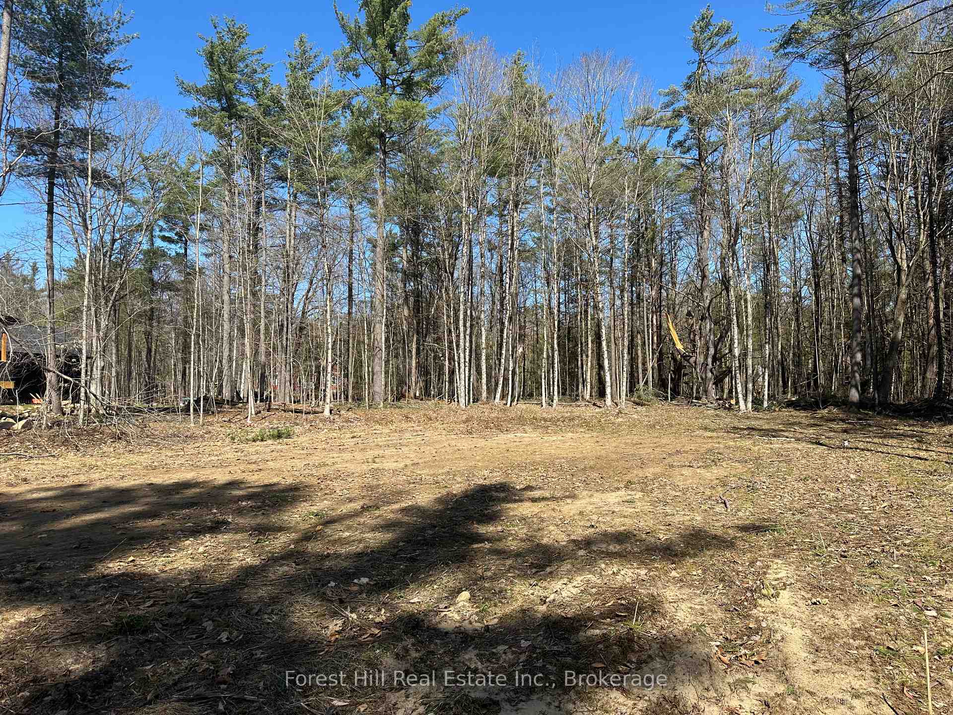 Photo 7 of 1111 Xavier Street, Gravenhurst, Morrison — HOMEH