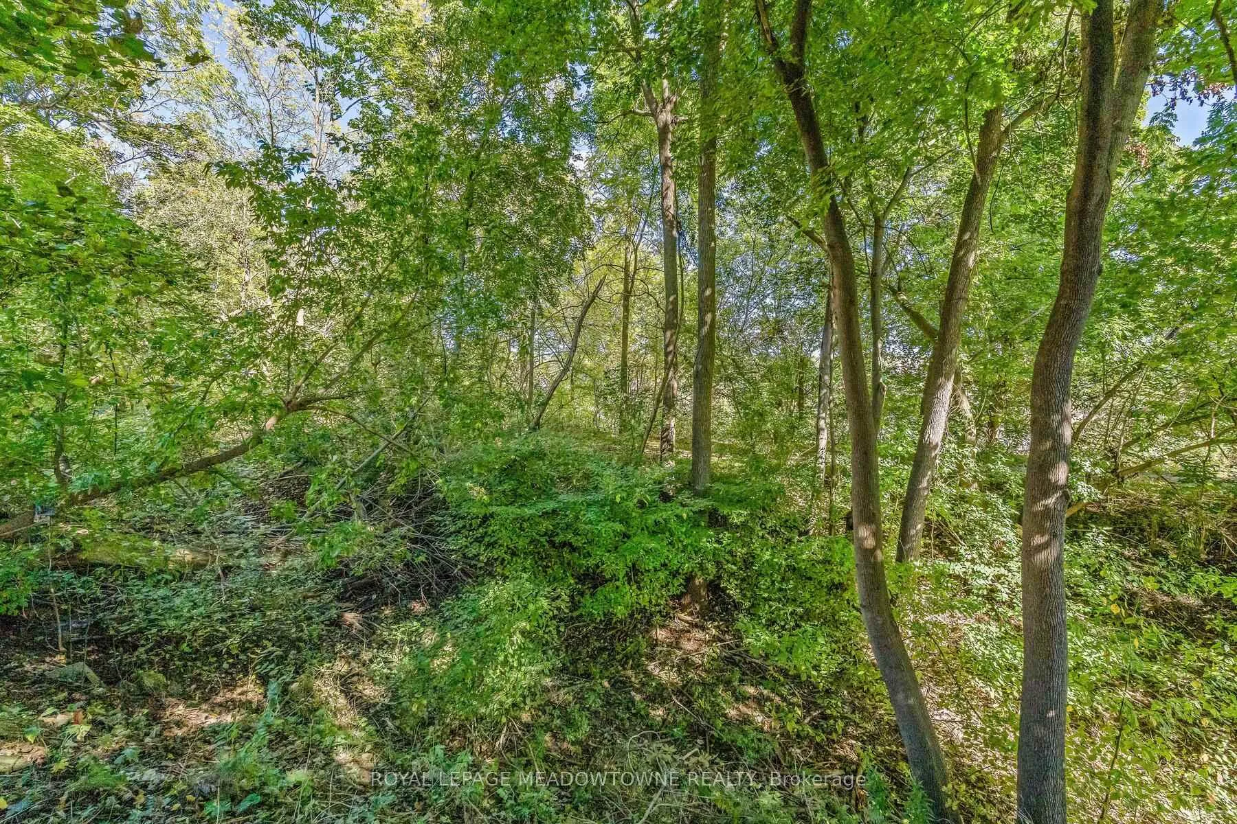 Photo 48 of 3 Academy Road, Halton Hills, Georgetown — HOMEH