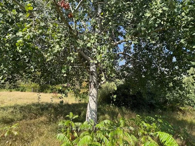 Photo 5 of 00 Fifth Line Road, South Glengarry, South Glengarry (Lancaster) Twp — HOMEH