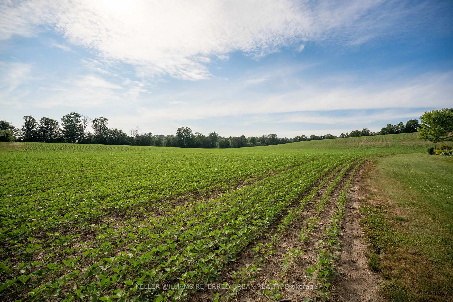 Photo 16 of 00 Smylie Road, Hamilton Township, Rural Hamilton — HOMEH