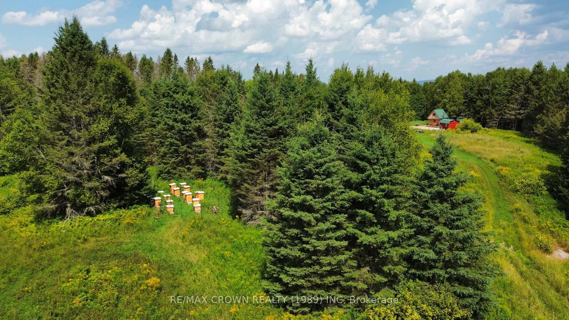 Photo 3 of 1006 Development Road, Bonfield — HOMEH