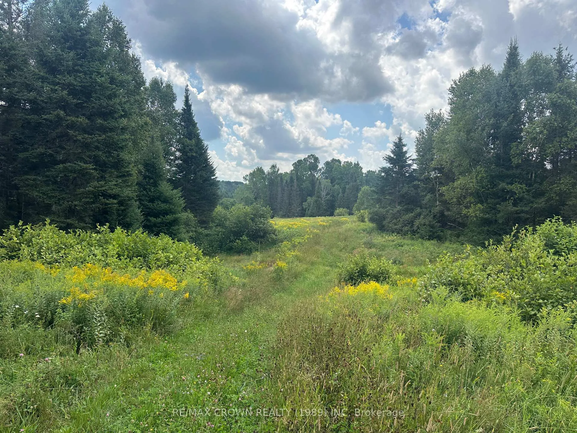 Photo 7 of 1006 Development Road, Bonfield — HOMEH
