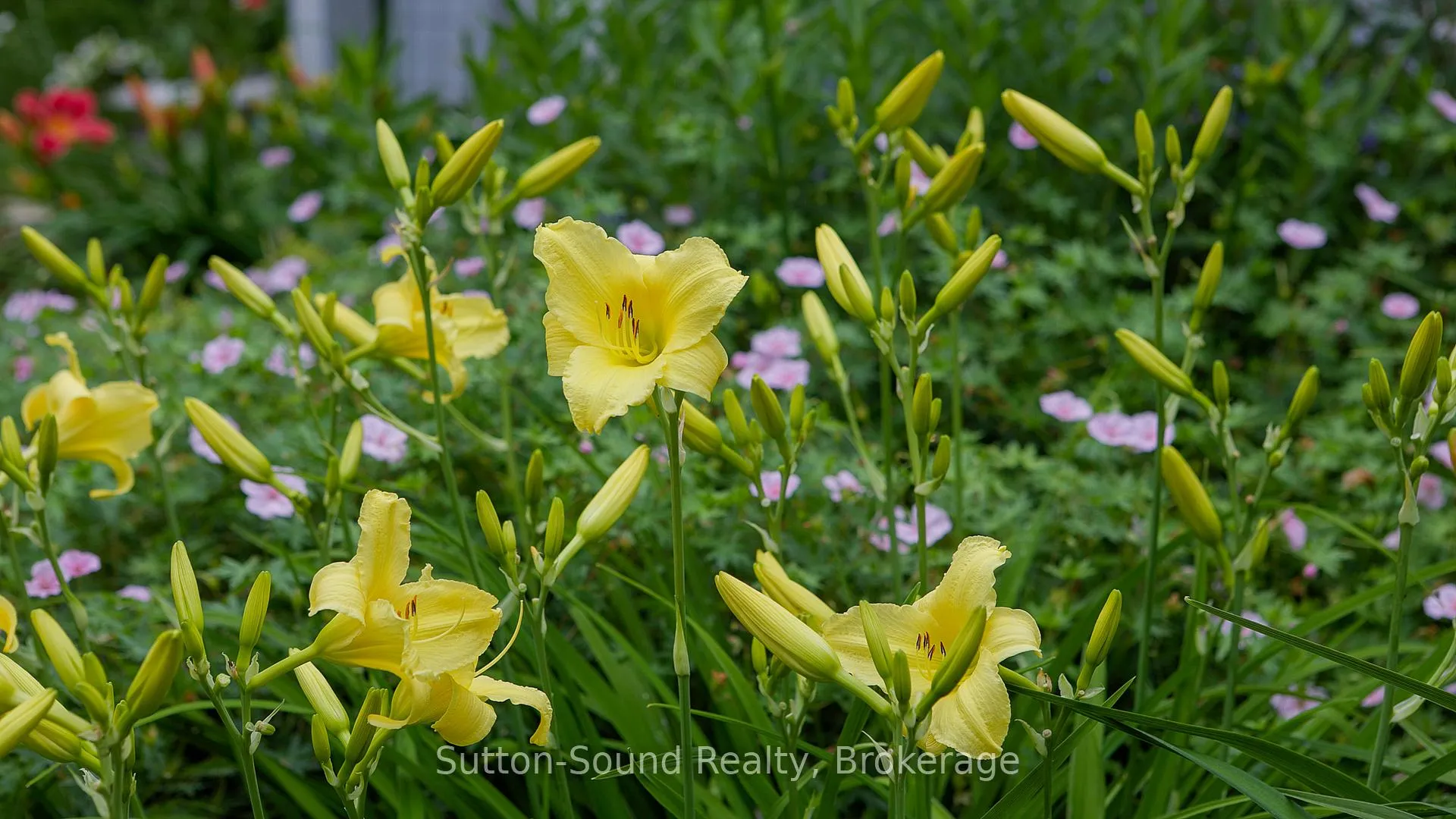 Photo 6 of 823665 Massie Road, Chatsworth — HOMEH