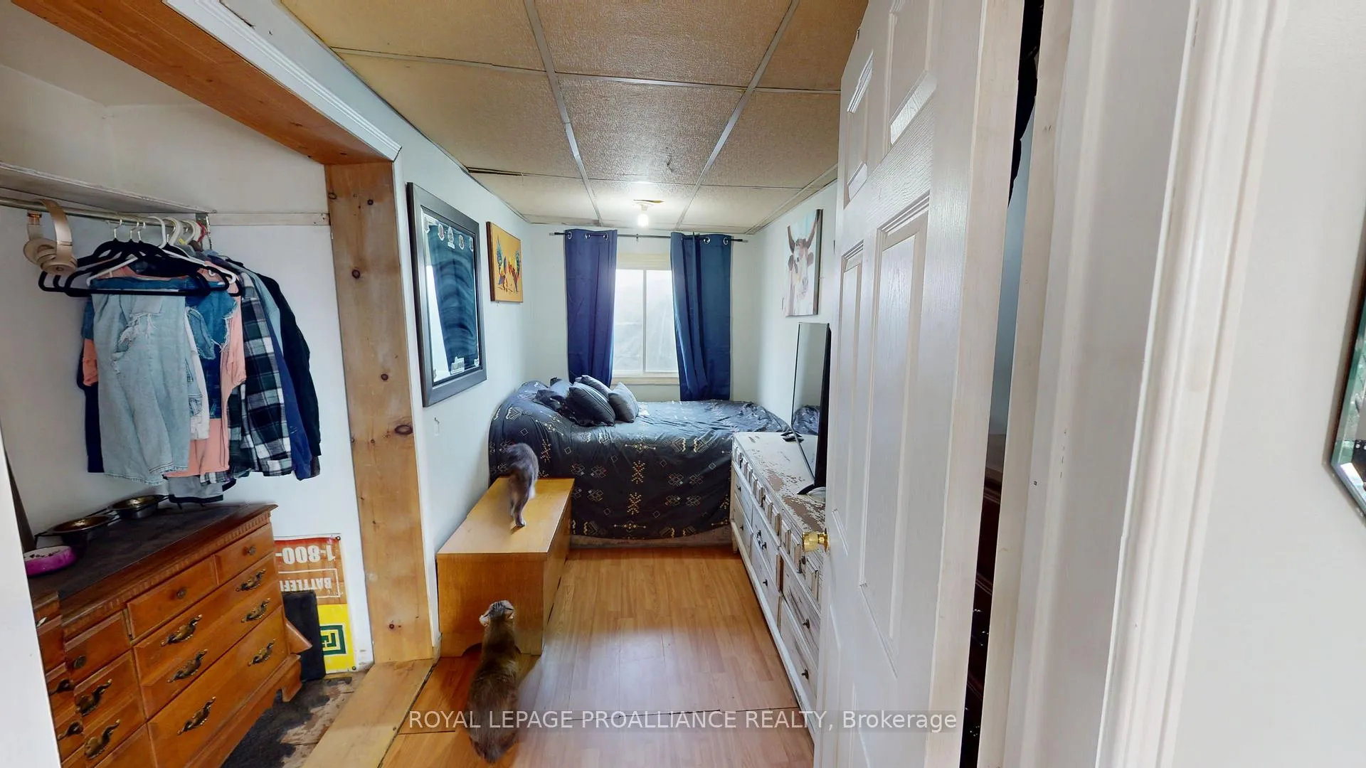 Photo 10 of 97 Aikins Road, Belleville, Belleville Ward — HOMEH