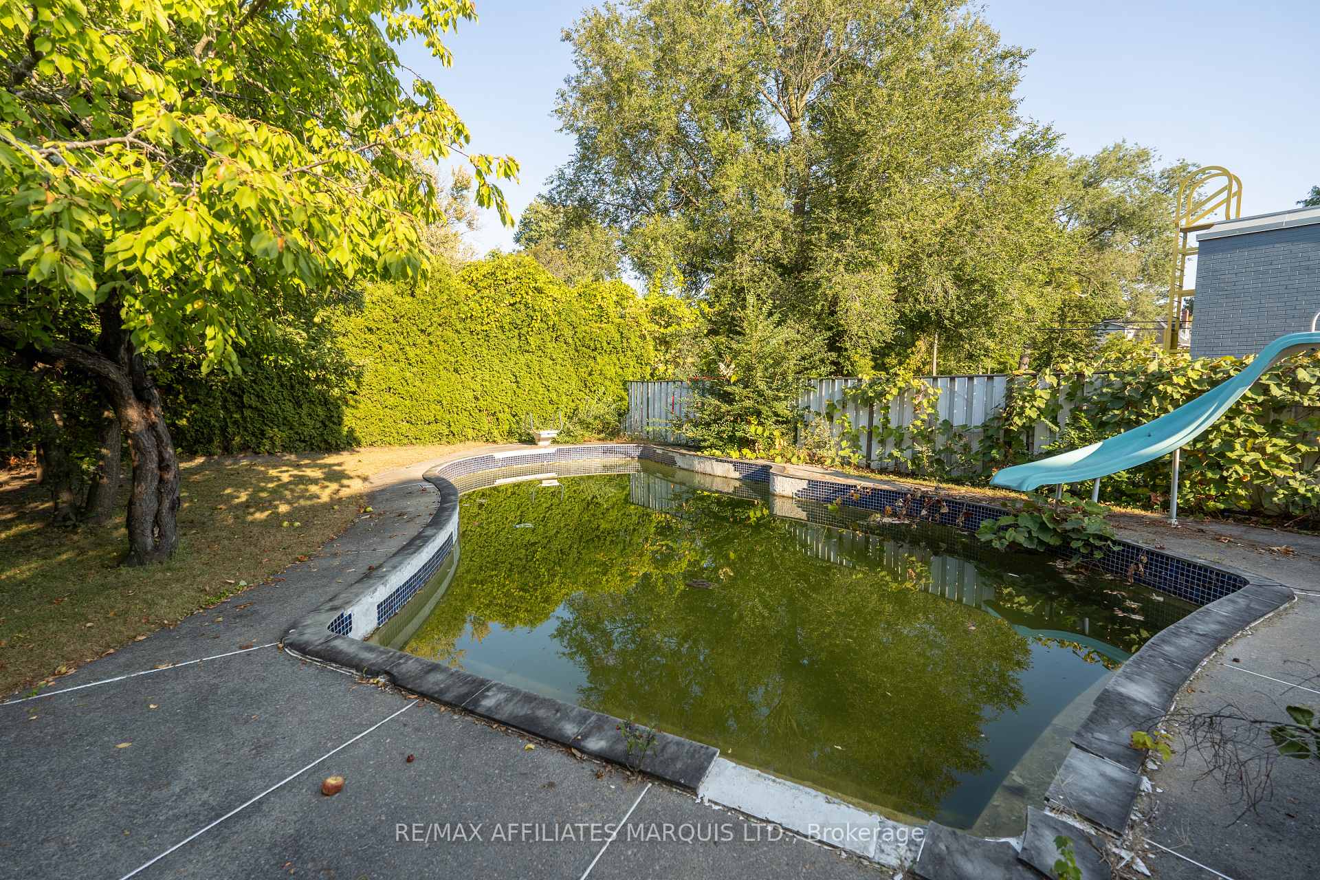 Photo 8 of 133 Sydney Street, Cornwall — HOMEH