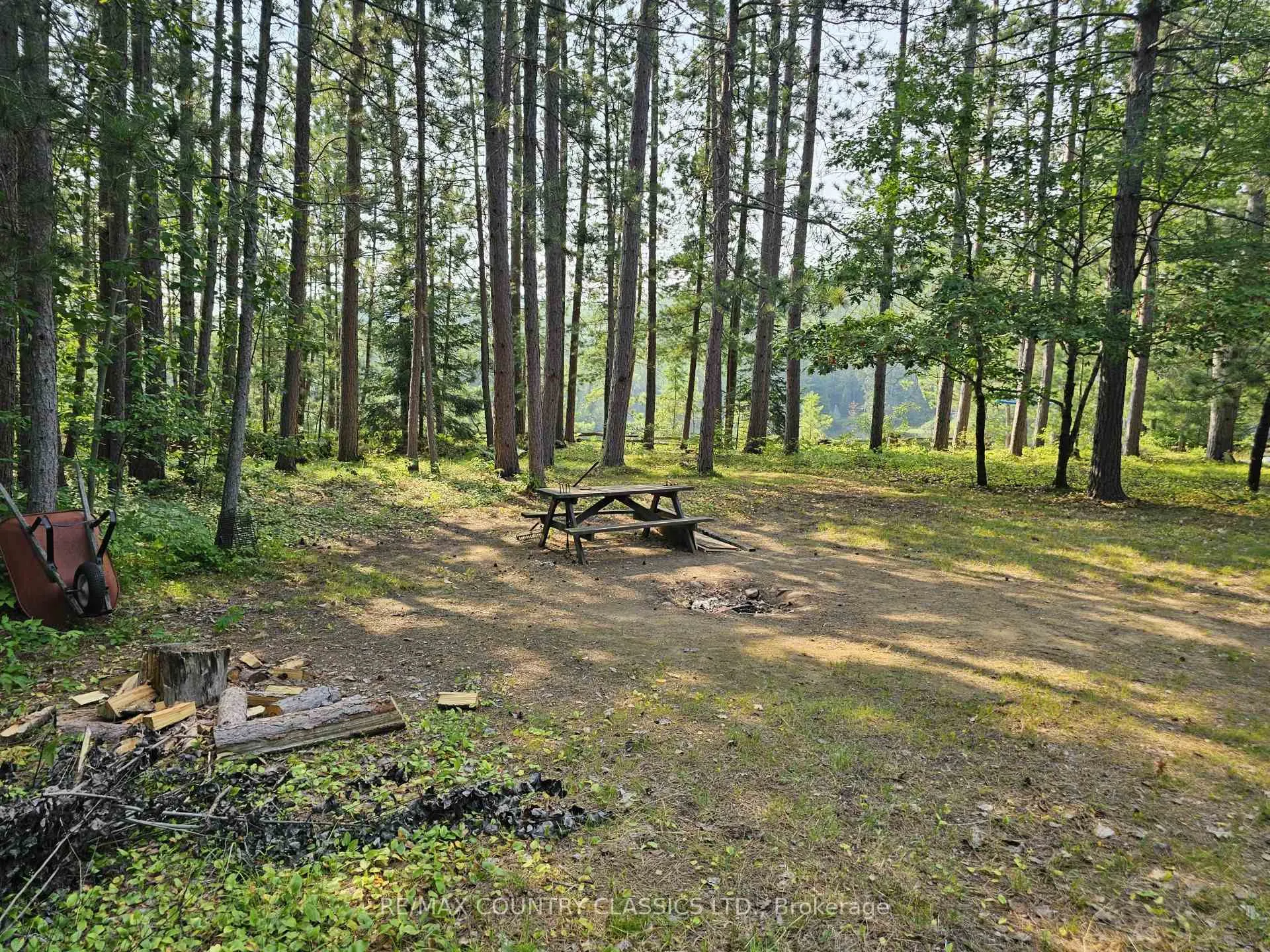 Photo 8 of 1502 Major lake Road, South Algonquin — HOMEH
