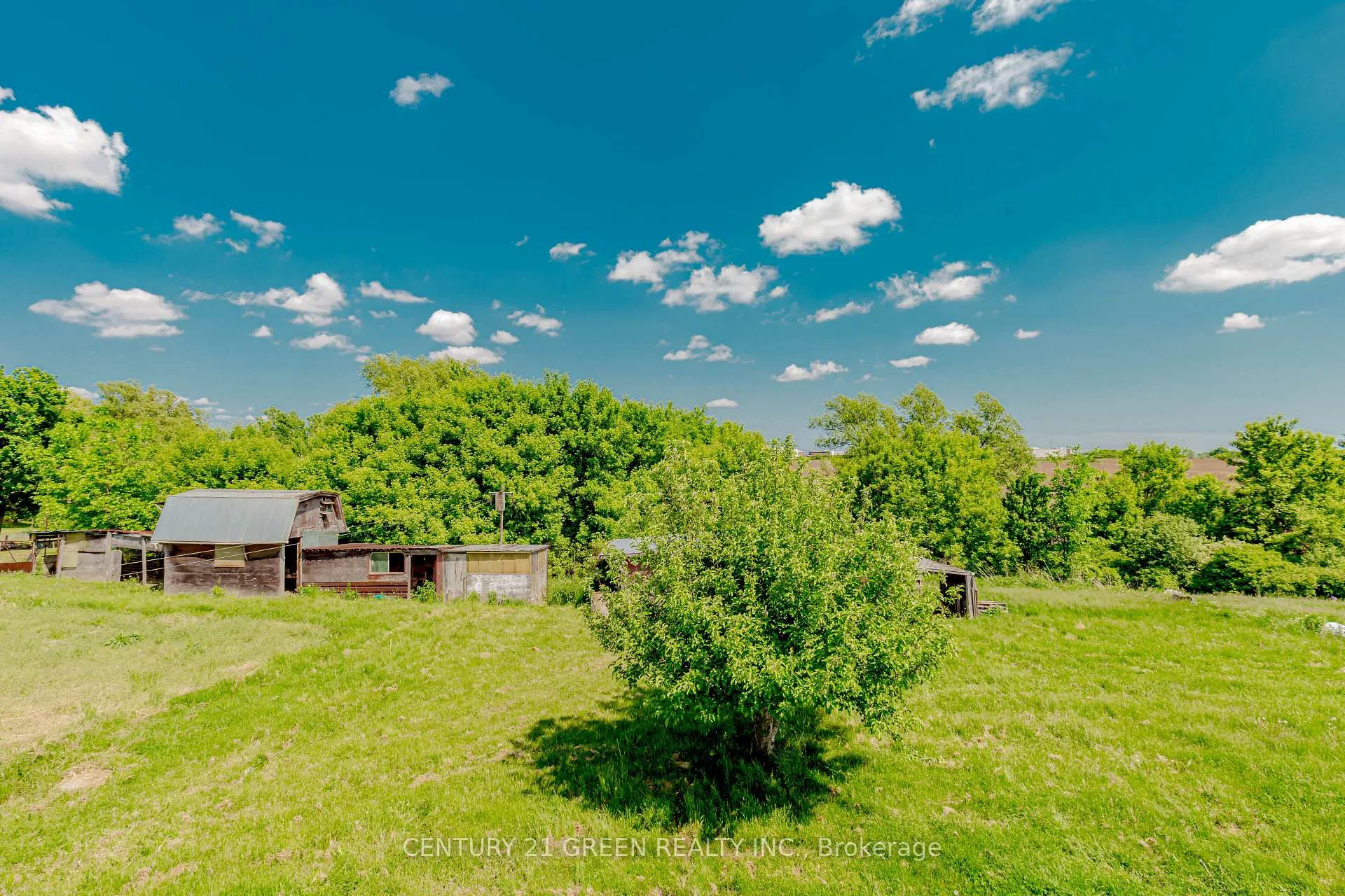 Photo 17 of 1691 Glancaster Road, Hamilton, Mount Hope — HOMEH