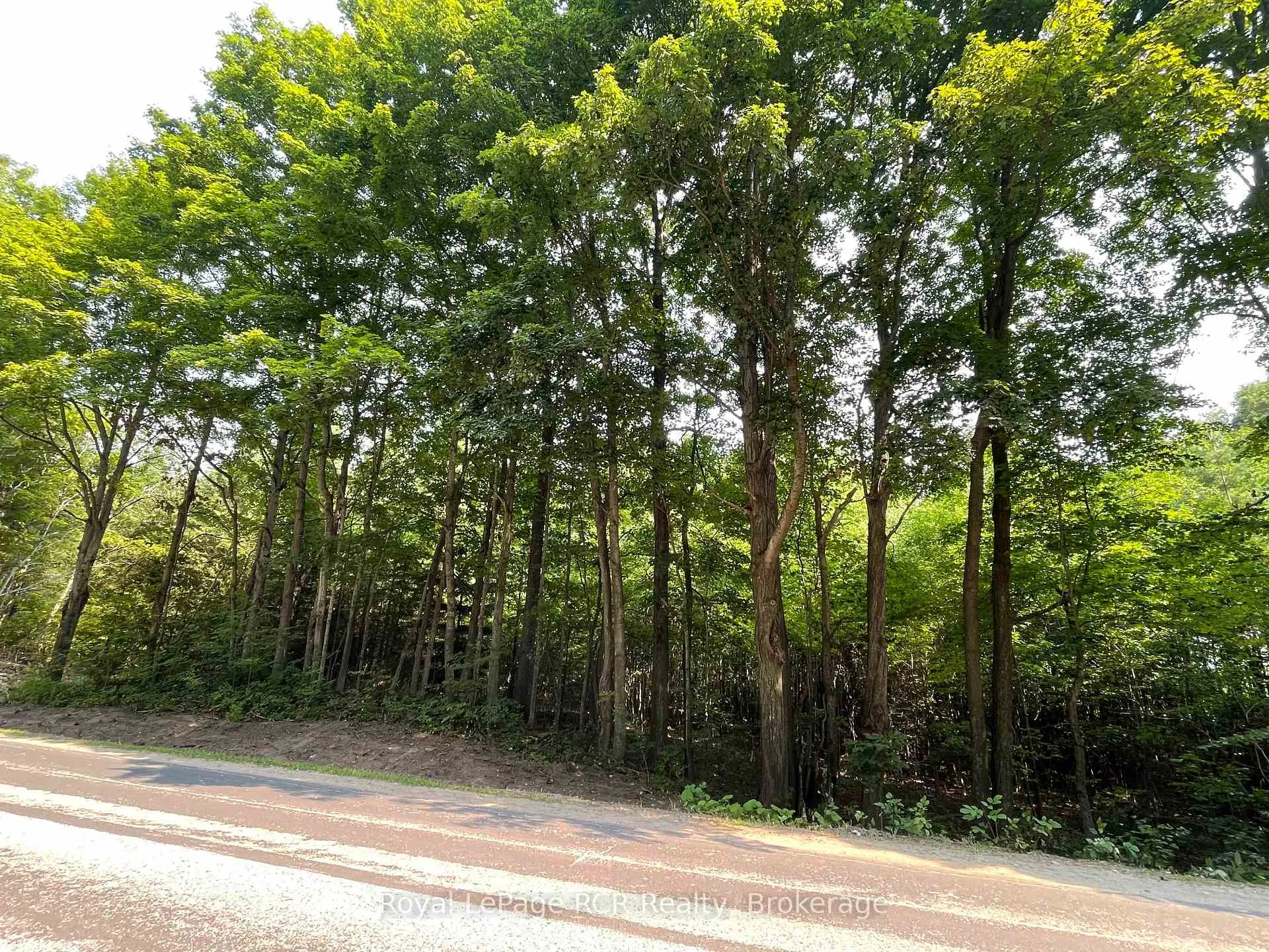 Photo 11 of Part 3 Southgate Rd 26, Southgate — HOMEH