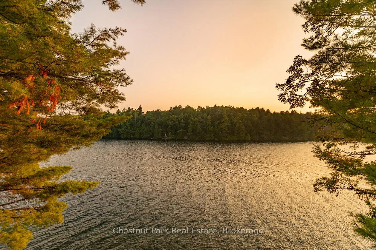 Photo 21 of 7 Wegamind Island, Seguin — HOMEH