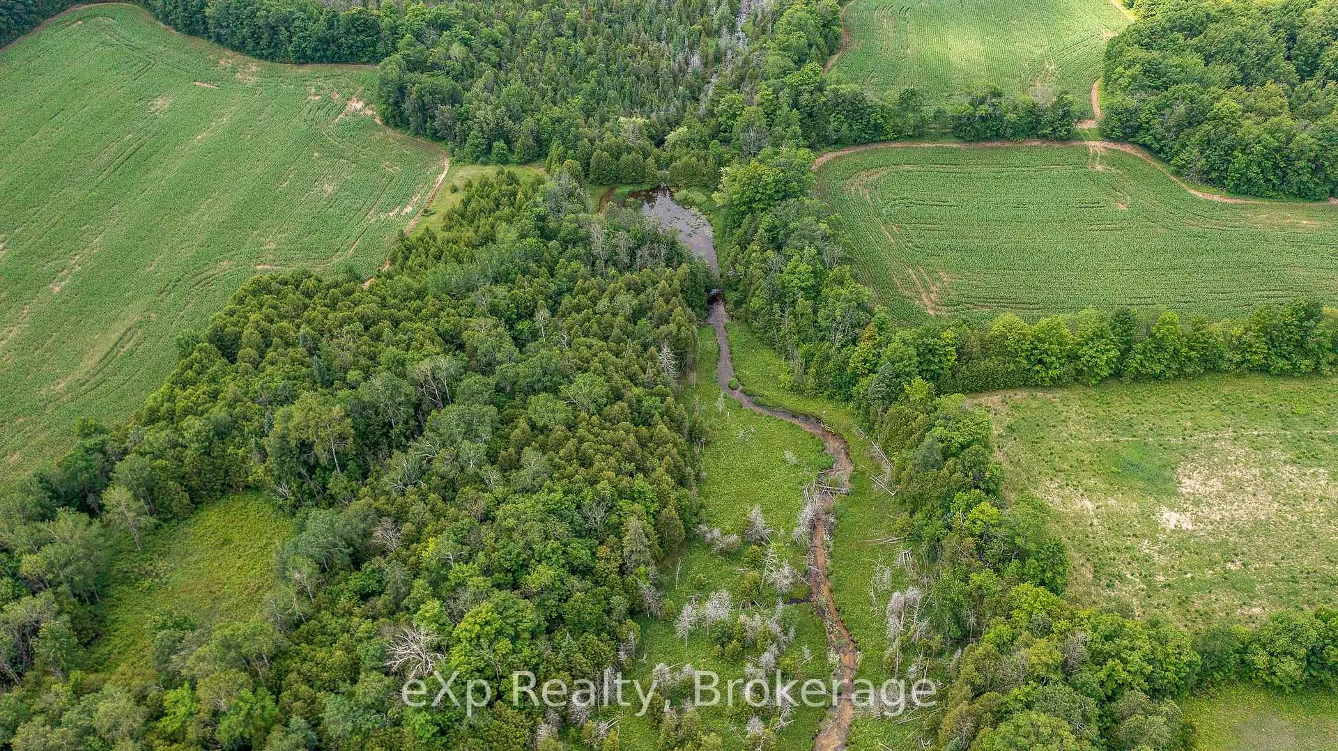 Photo 5 of 4558803 Concession 3B, Chatsworth — HOMEH