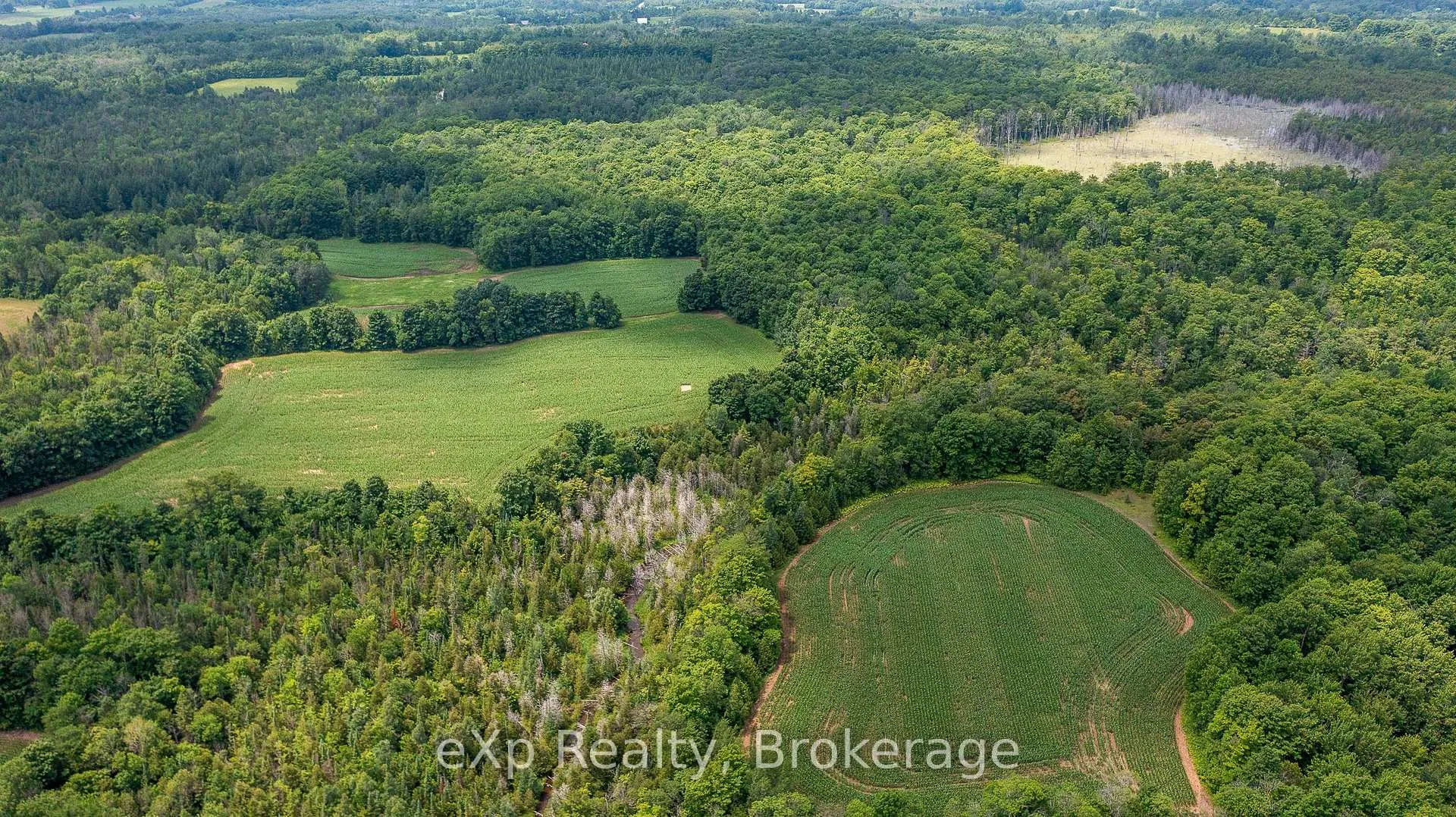 Photo 7 of 4558803 Concession 3B, Chatsworth — HOMEH