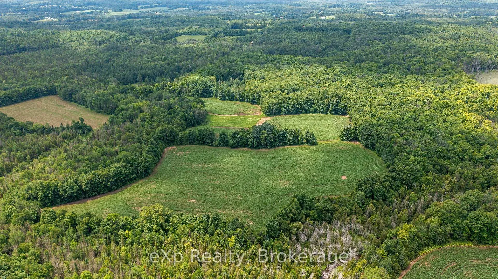 Photo 8 of 4558803 Concession 3B, Chatsworth — HOMEH