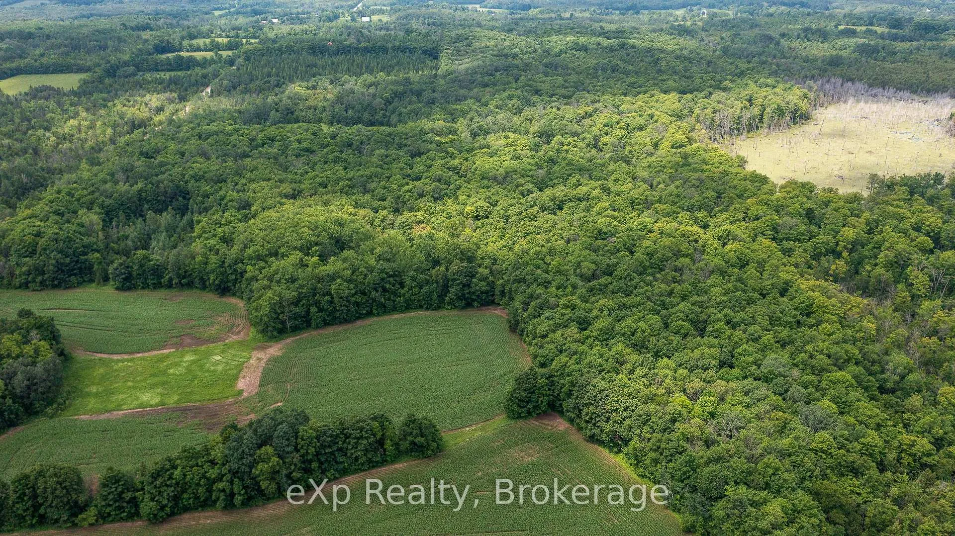 Photo 9 of 4558803 Concession 3B, Chatsworth — HOMEH