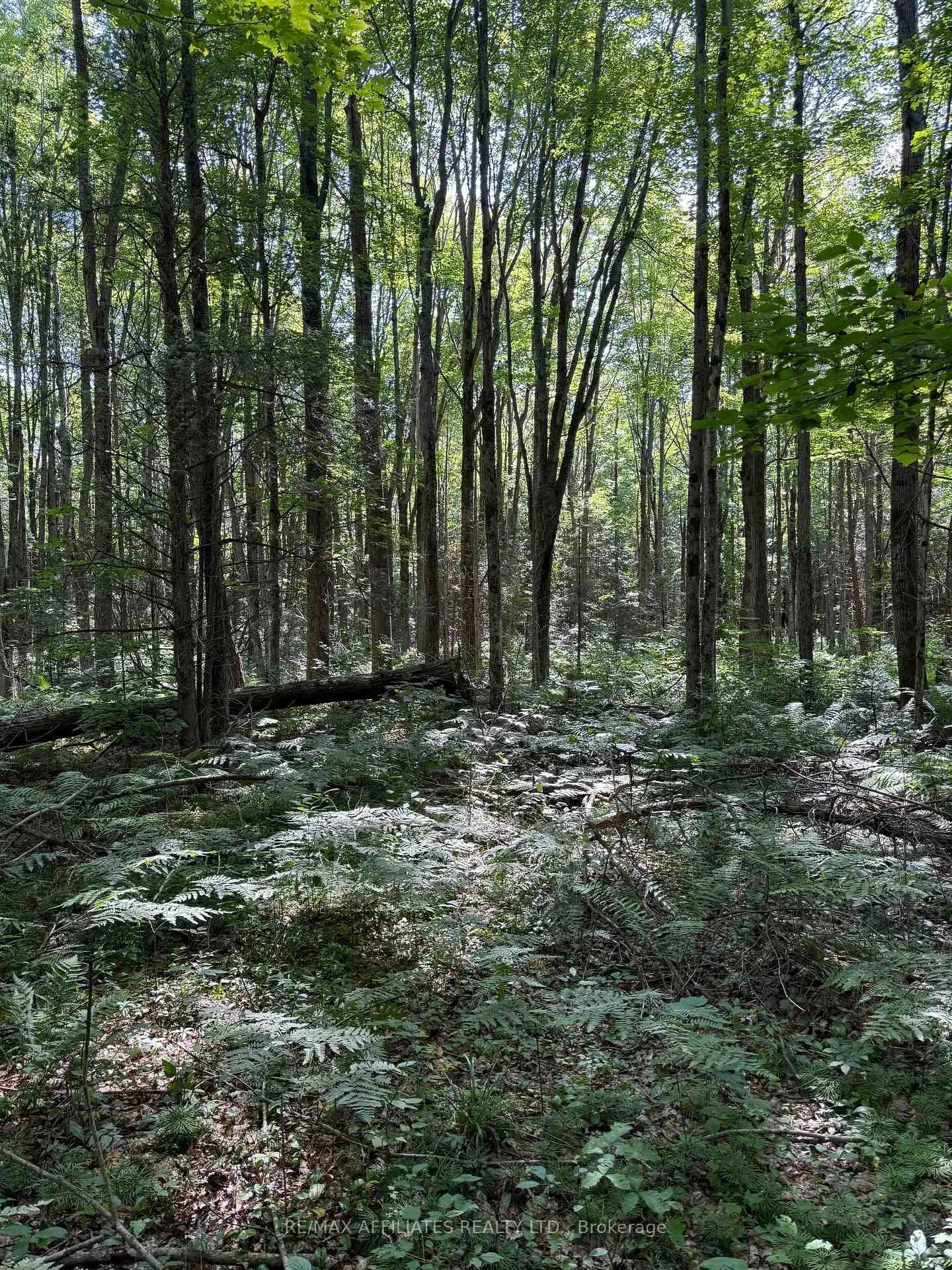 Photo 1 of Skakum Road, Augusta, Augusta Twp — HOMEH