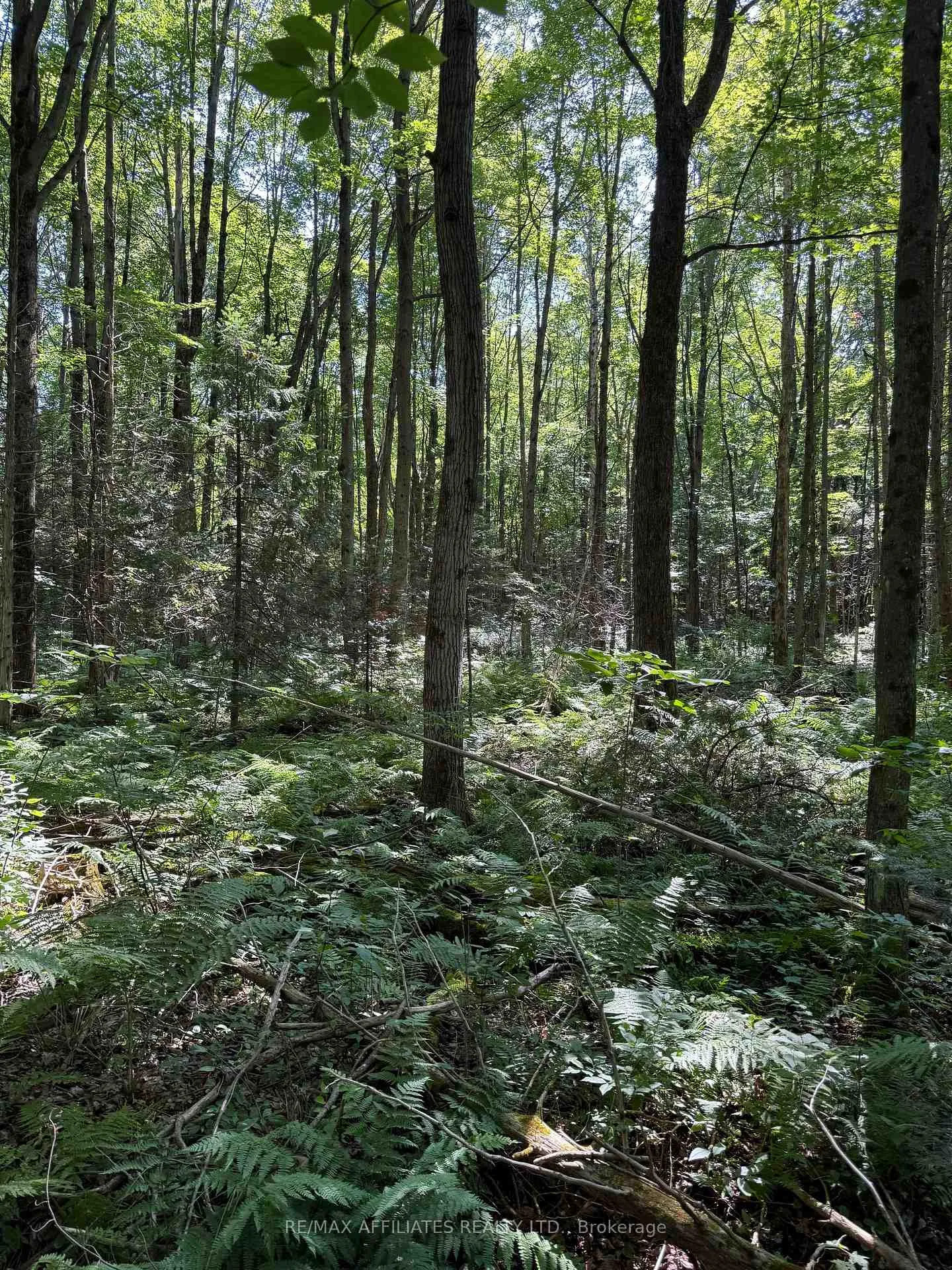 Photo 2 of Skakum Road, Augusta, Augusta Twp — HOMEH