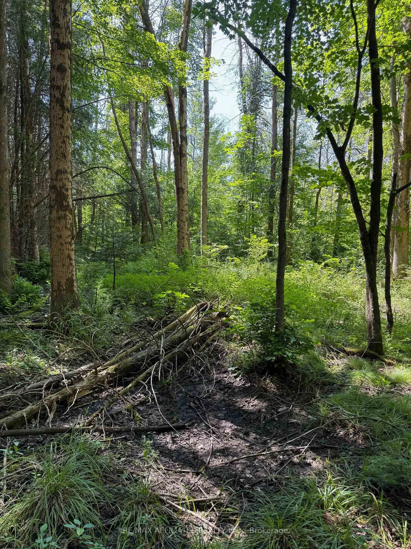Photo 4 of Skakum Road, Augusta, Augusta Twp — HOMEH
