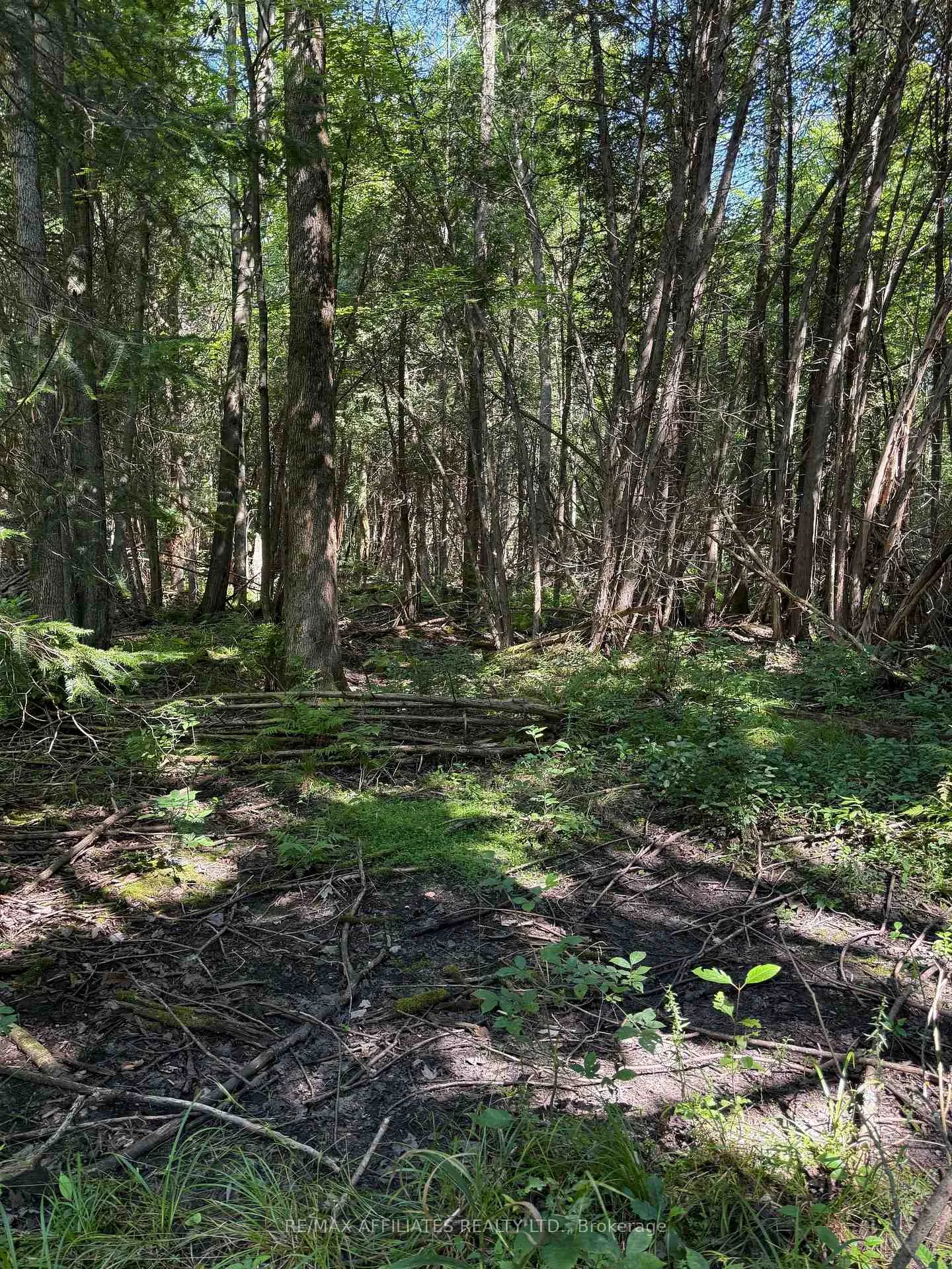 Photo 5 of Skakum Road, Augusta, Augusta Twp — HOMEH