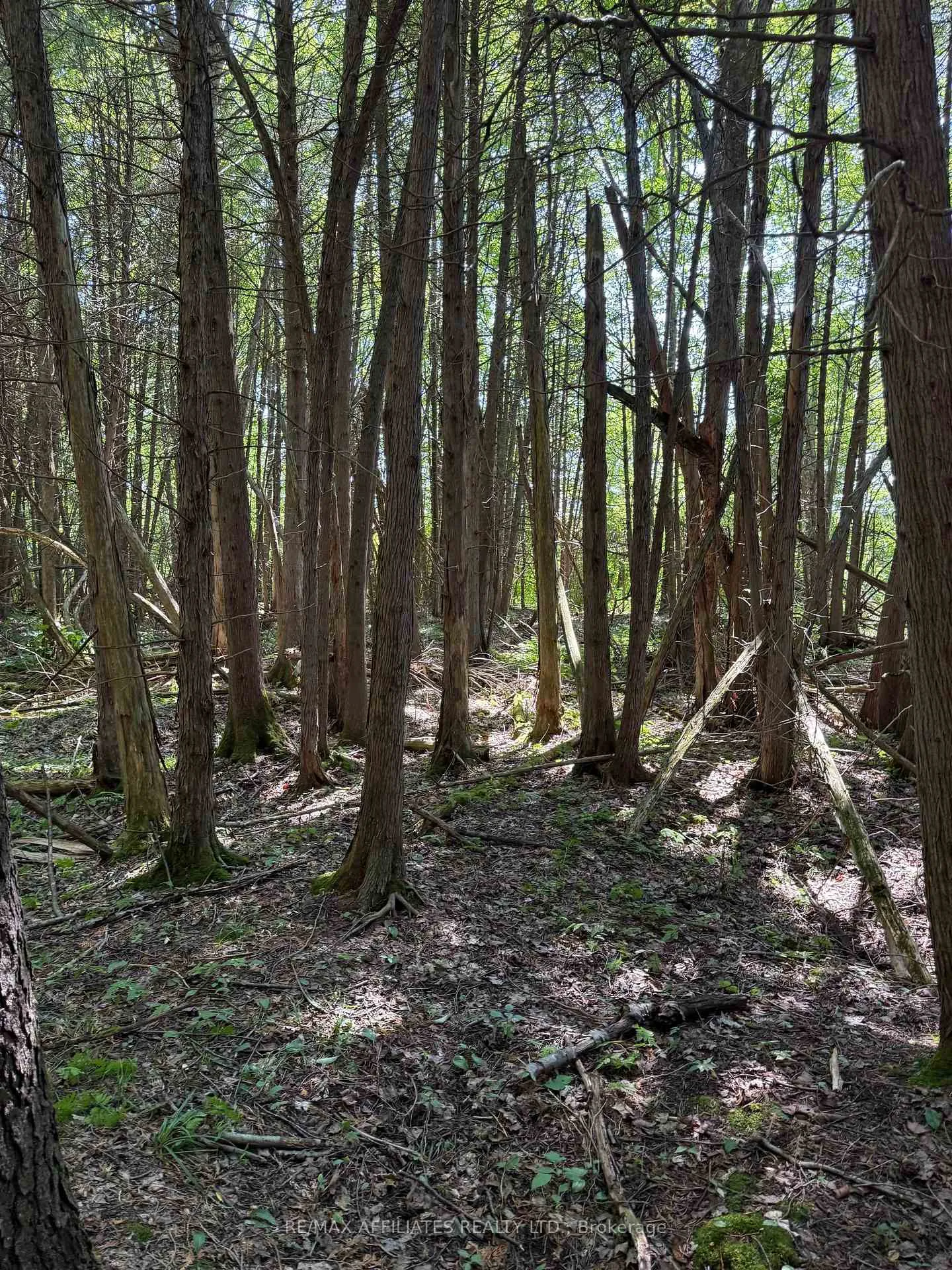 Photo 6 of Skakum Road, Augusta, Augusta Twp — HOMEH