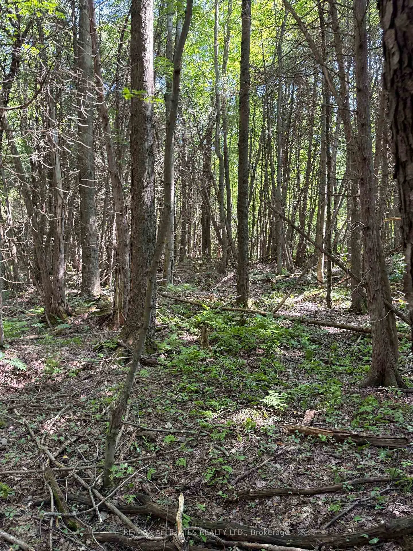 Photo 8 of Skakum Road, Augusta, Augusta Twp — HOMEH