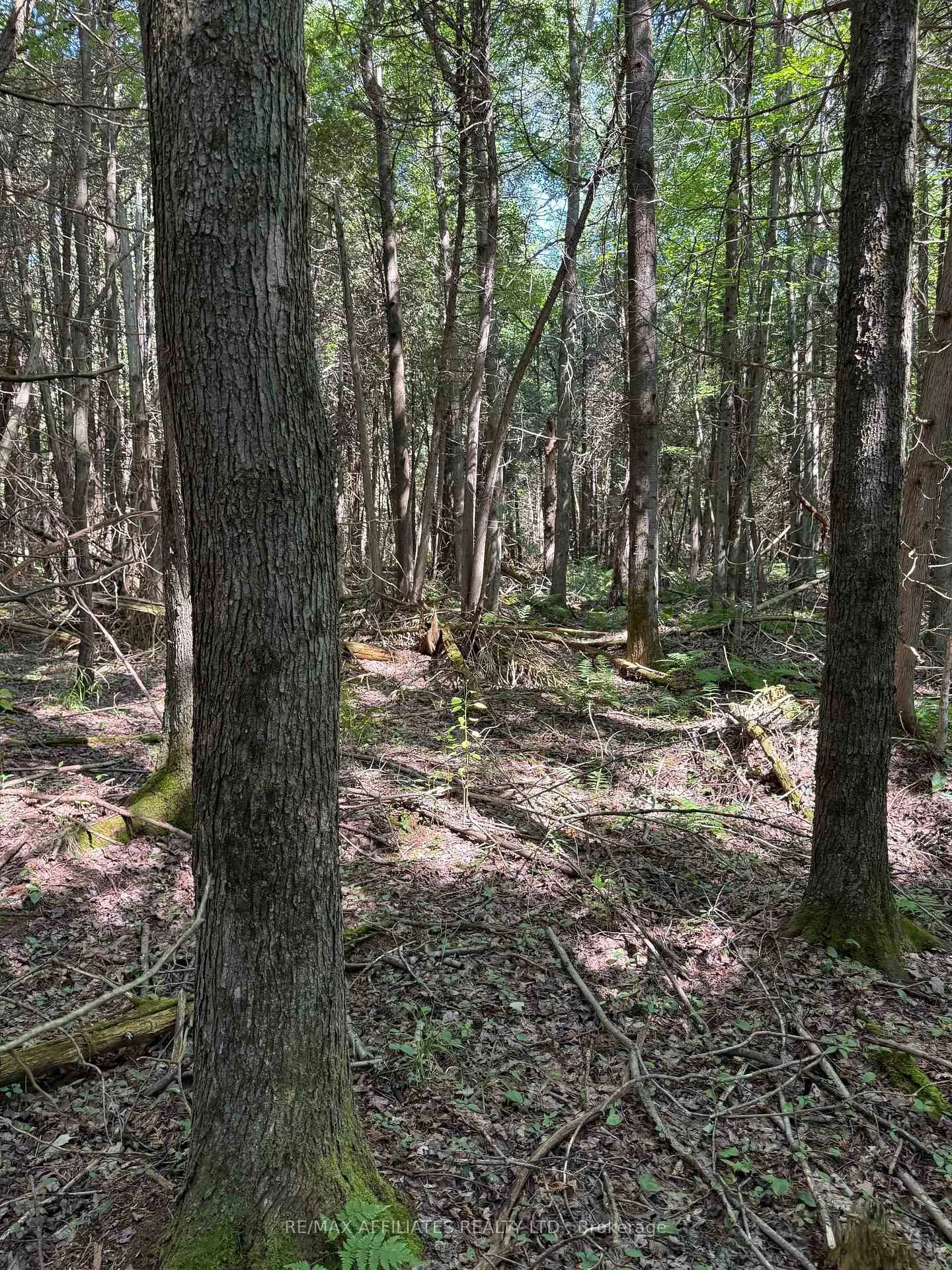 Photo 9 of Skakum Road, Augusta, Augusta Twp — HOMEH