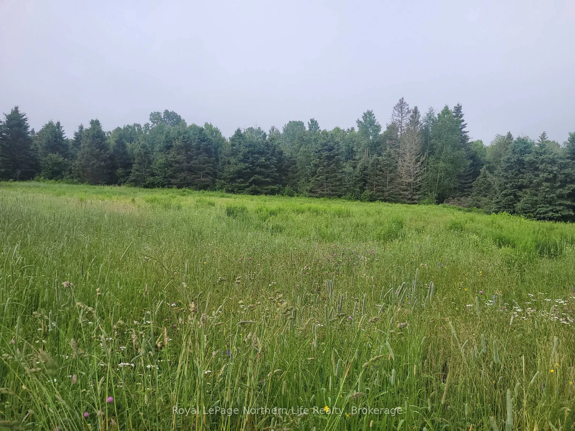 Photo 3 of 710 Richards Road, Papineau-Cameron, Papineau Cameron — HOMEH