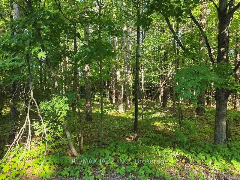 Photo 2 of 33 Sumac Road, Clarington, Rural Clarington — HOMEH