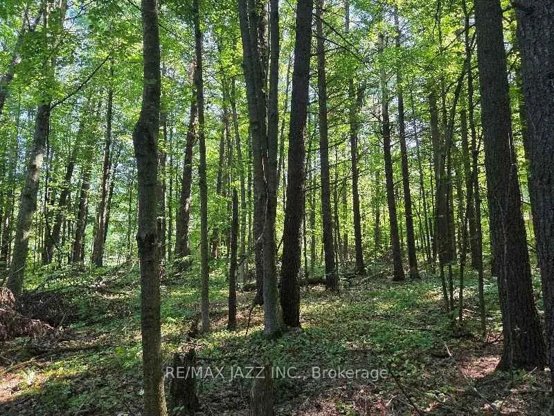 Photo 3 of 33 Sumac Road, Clarington, Rural Clarington — HOMEH