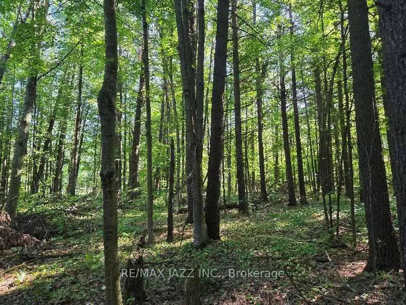 Photo 4 of 33 Sumac Road, Clarington, Rural Clarington — HOMEH