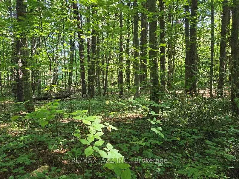 Photo 5 of 33 Sumac Road, Clarington, Rural Clarington — HOMEH