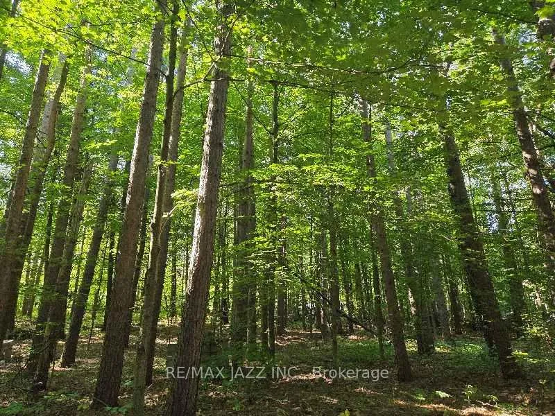 Photo 6 of 33 Sumac Road, Clarington, Rural Clarington — HOMEH