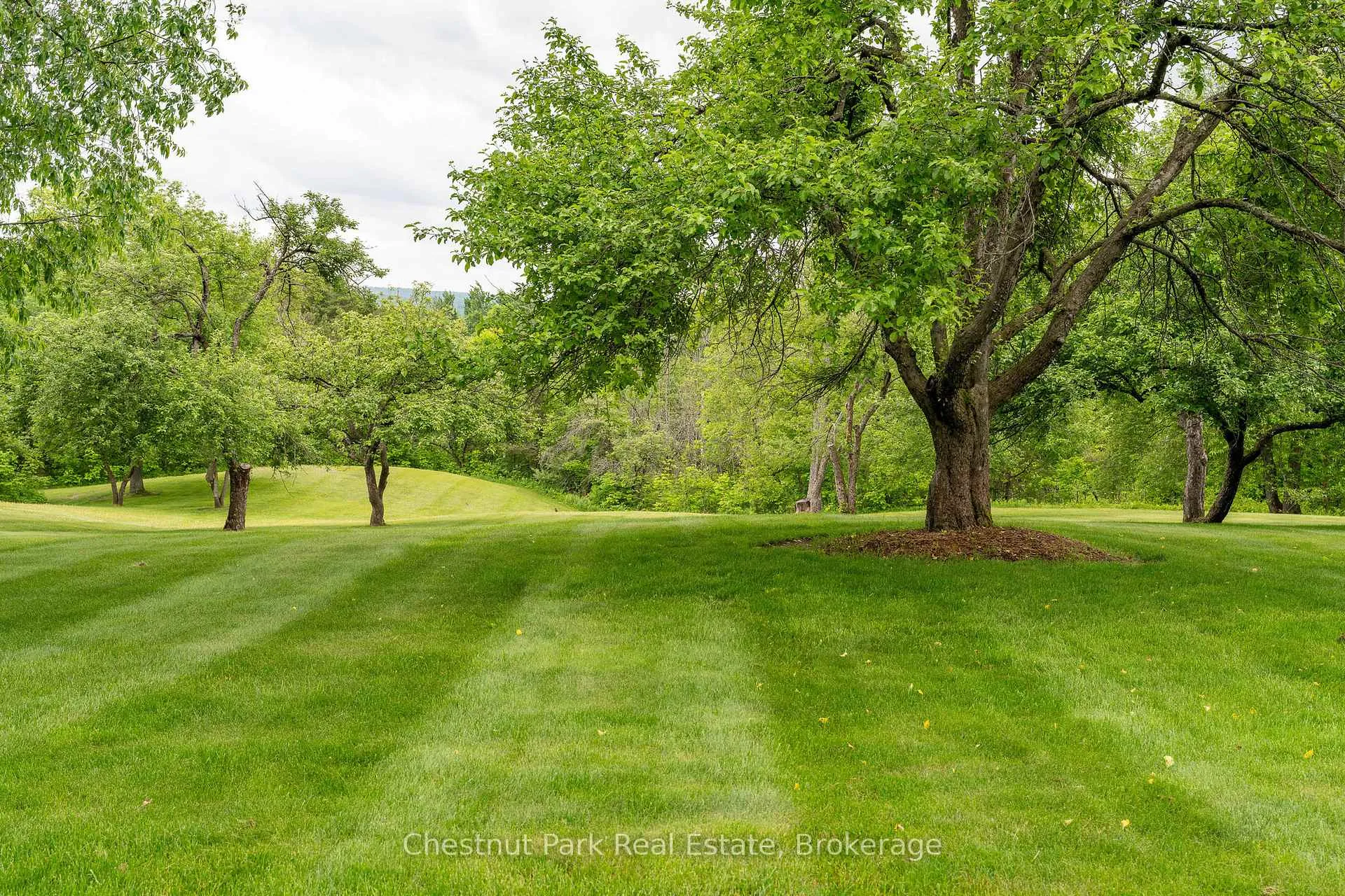 Photo 9 of 798251 3rd Line E, Mulmur, Rural Mulmur — HOMEH