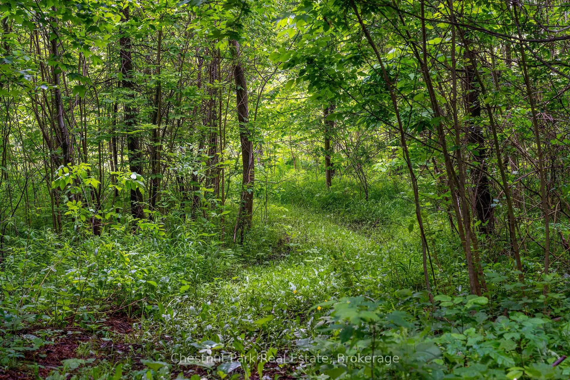 Photo 14 of 798251 3rd Line E, Mulmur, Rural Mulmur — HOMEH