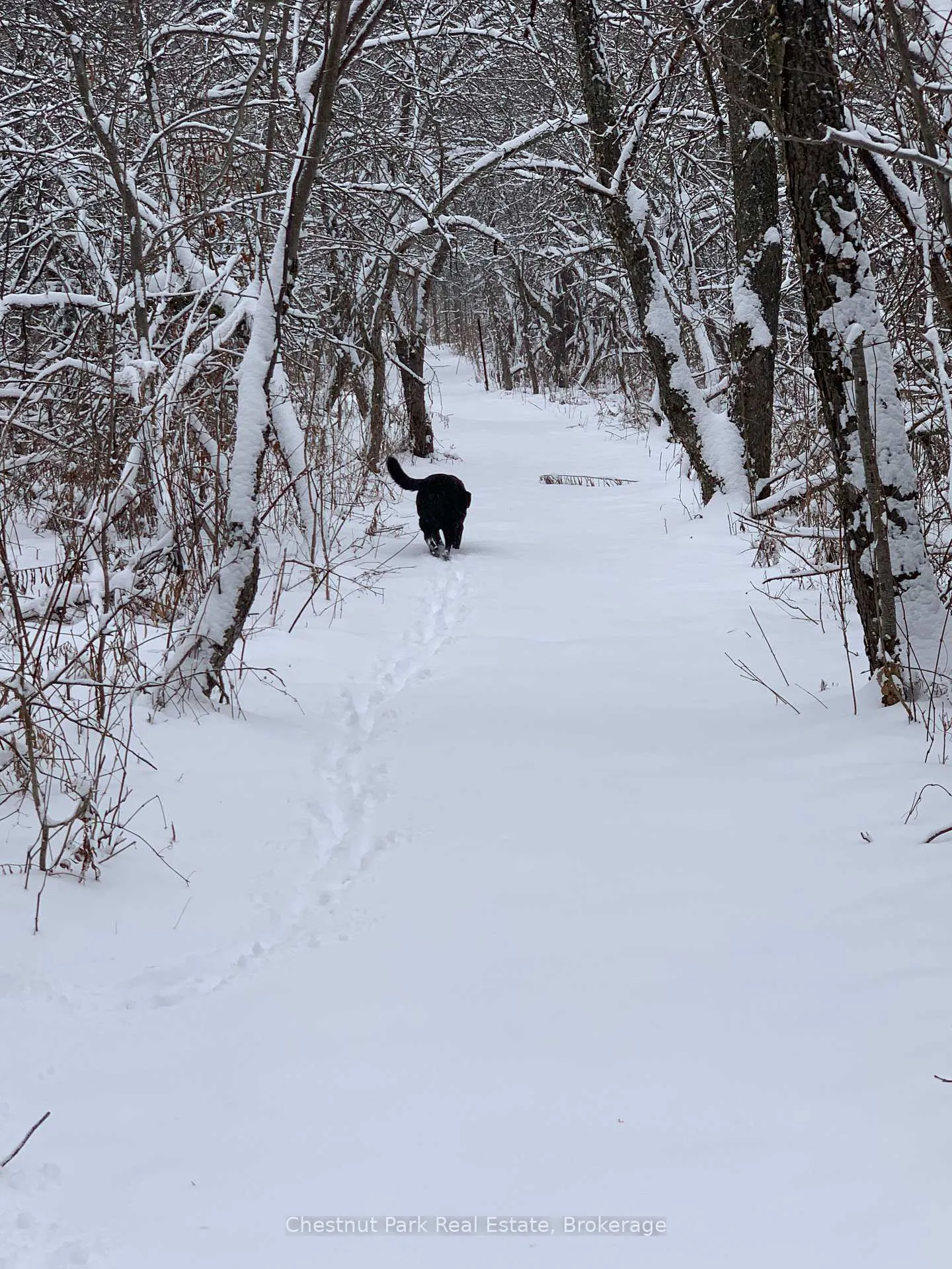 Photo 45 of 798251 3rd Line E, Mulmur, Rural Mulmur — HOMEH